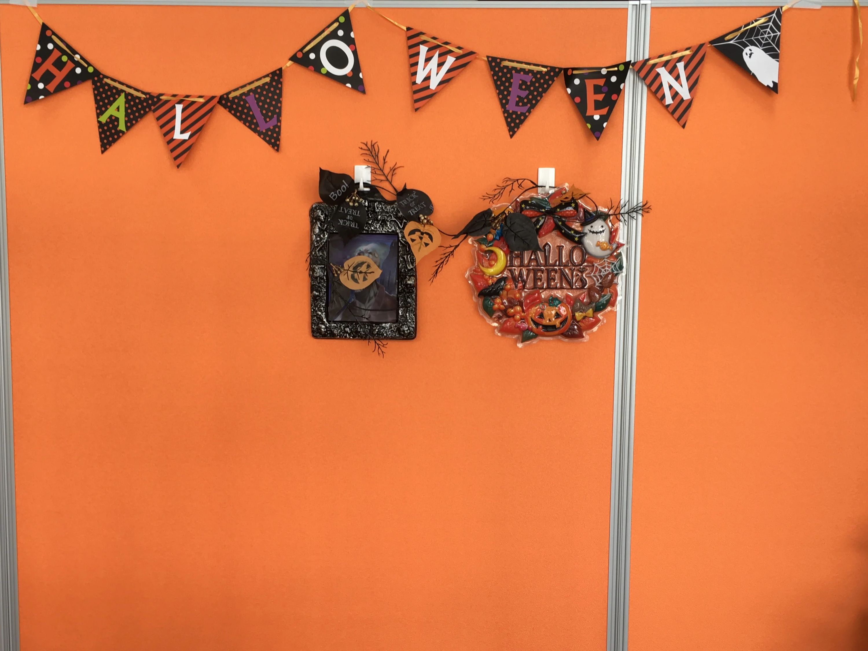 アルクKiddy CAT 英語・英会話 ACORN Kidsのメイン画像