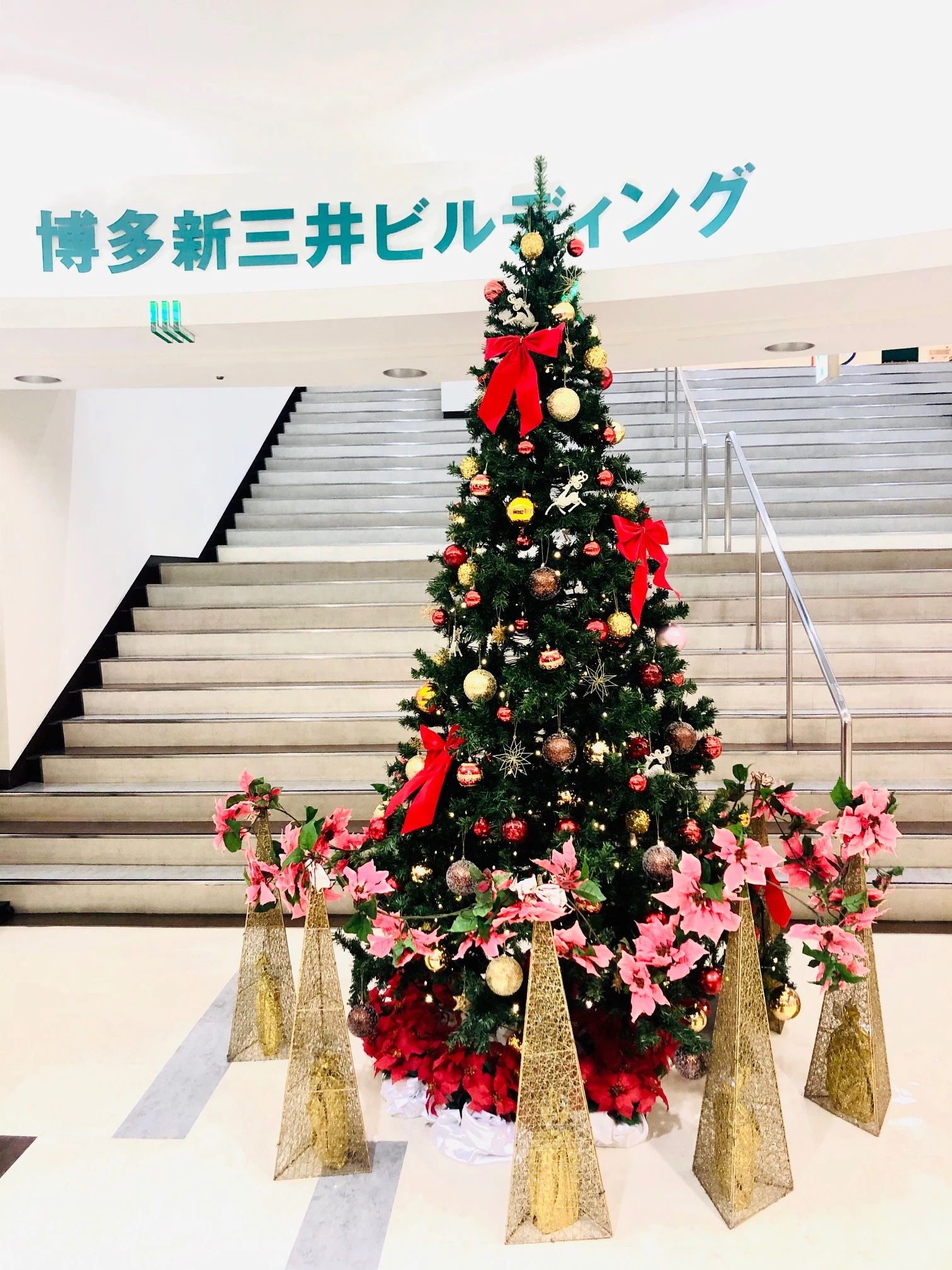 英会話のSEIHA 博多駅前教室のサムネイル画像 3