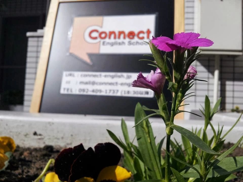 コネクトイングリッシュスクール英会話 美野島教室のサムネイル画像 4