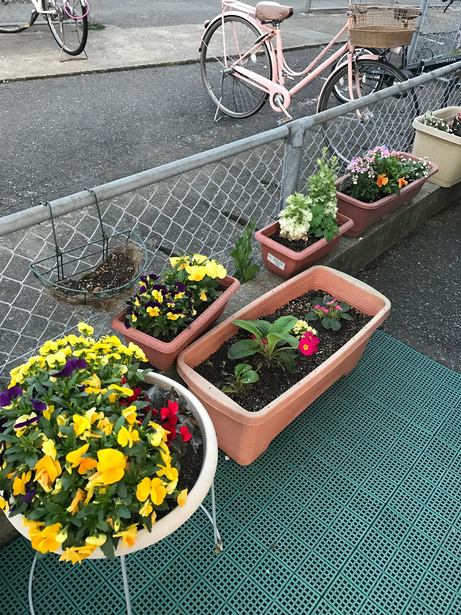 ABCクラブ英語教室 春日教室のサムネイル画像 4