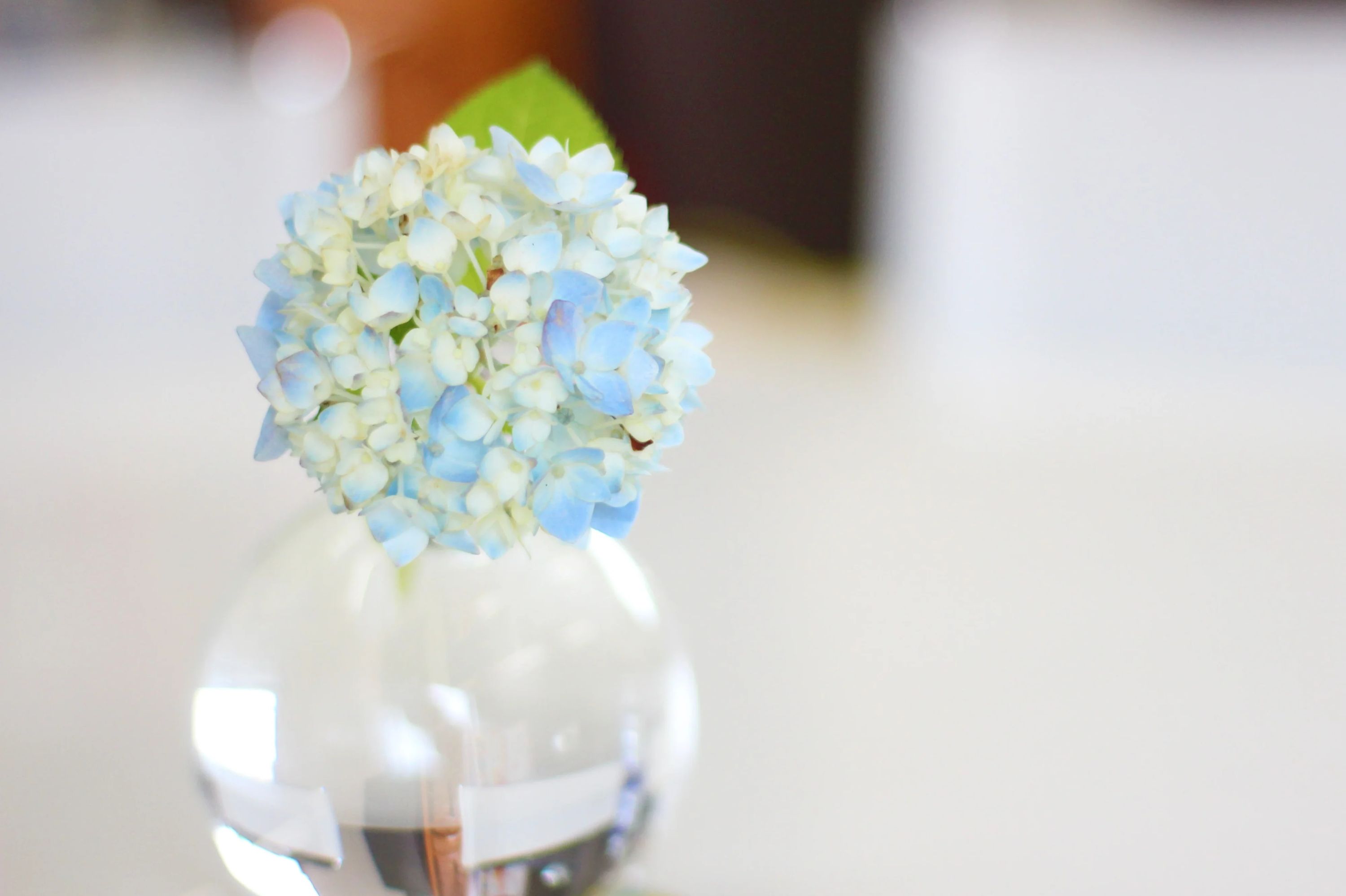 JAMES (ジェームズ) JBS英会話 日明教室のサムネイル画像 3