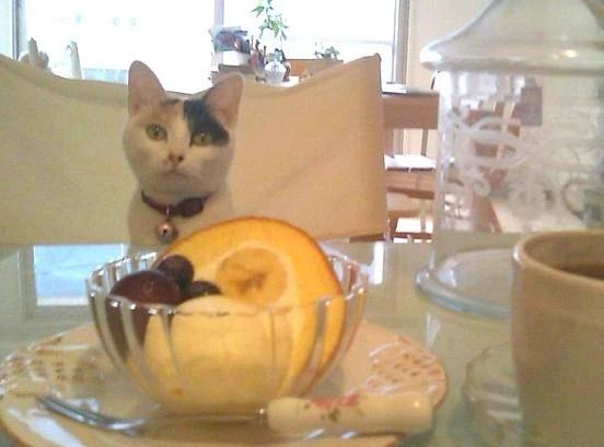 英会話 lls New Zealand Cafe 大名 大名教室のサムネイル画像 2