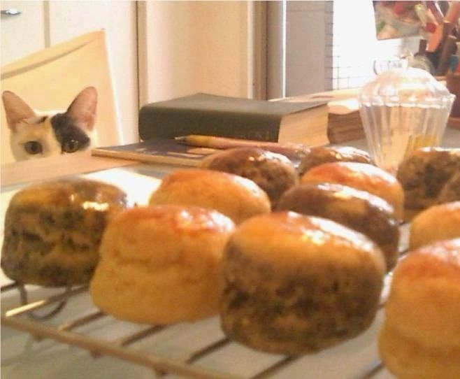 英会話 lls New Zealand Cafe 大名 大名教室のサムネイル画像 3