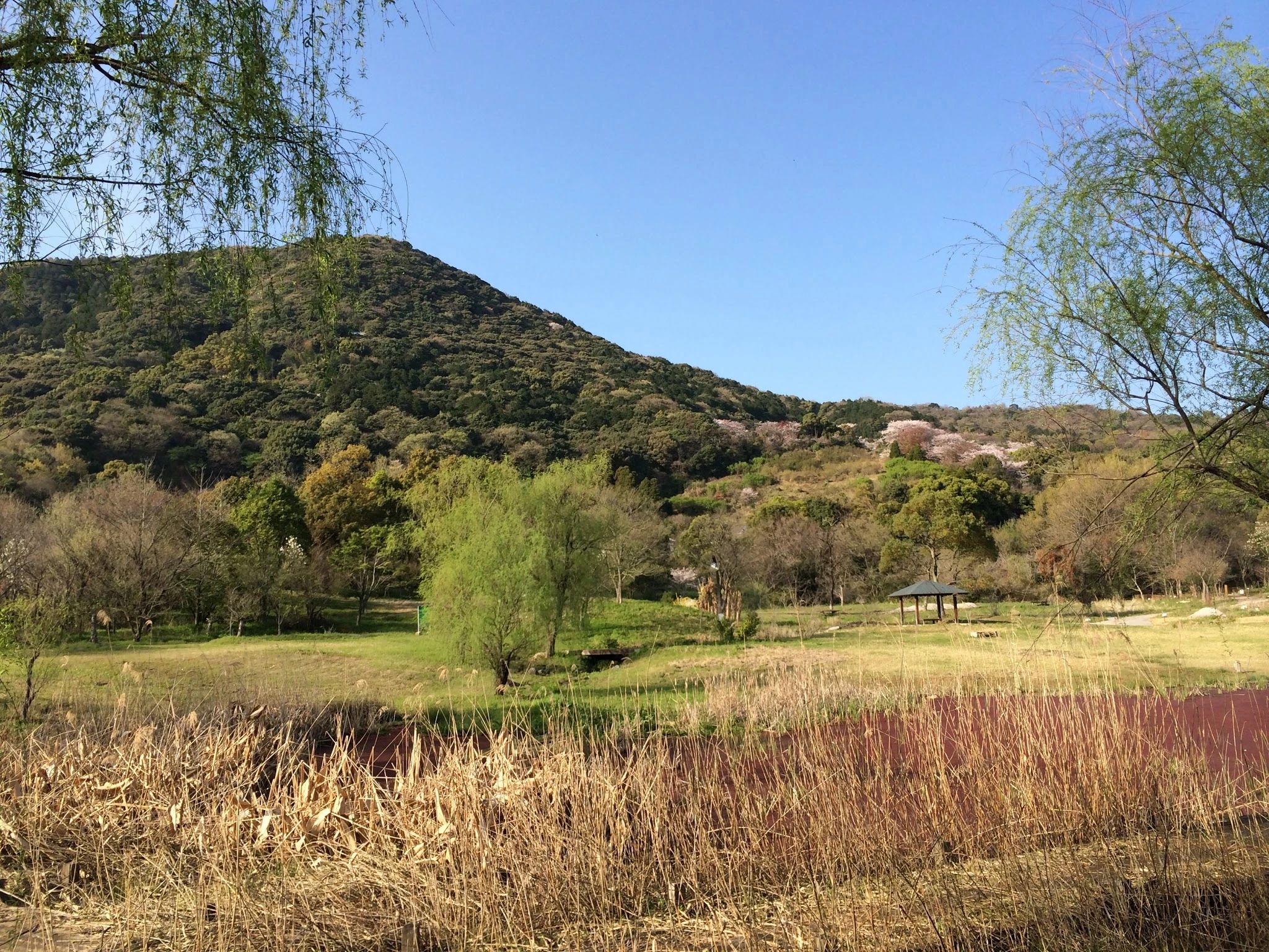 自然の英語工房 eigokobo 金立町教室のメイン画像