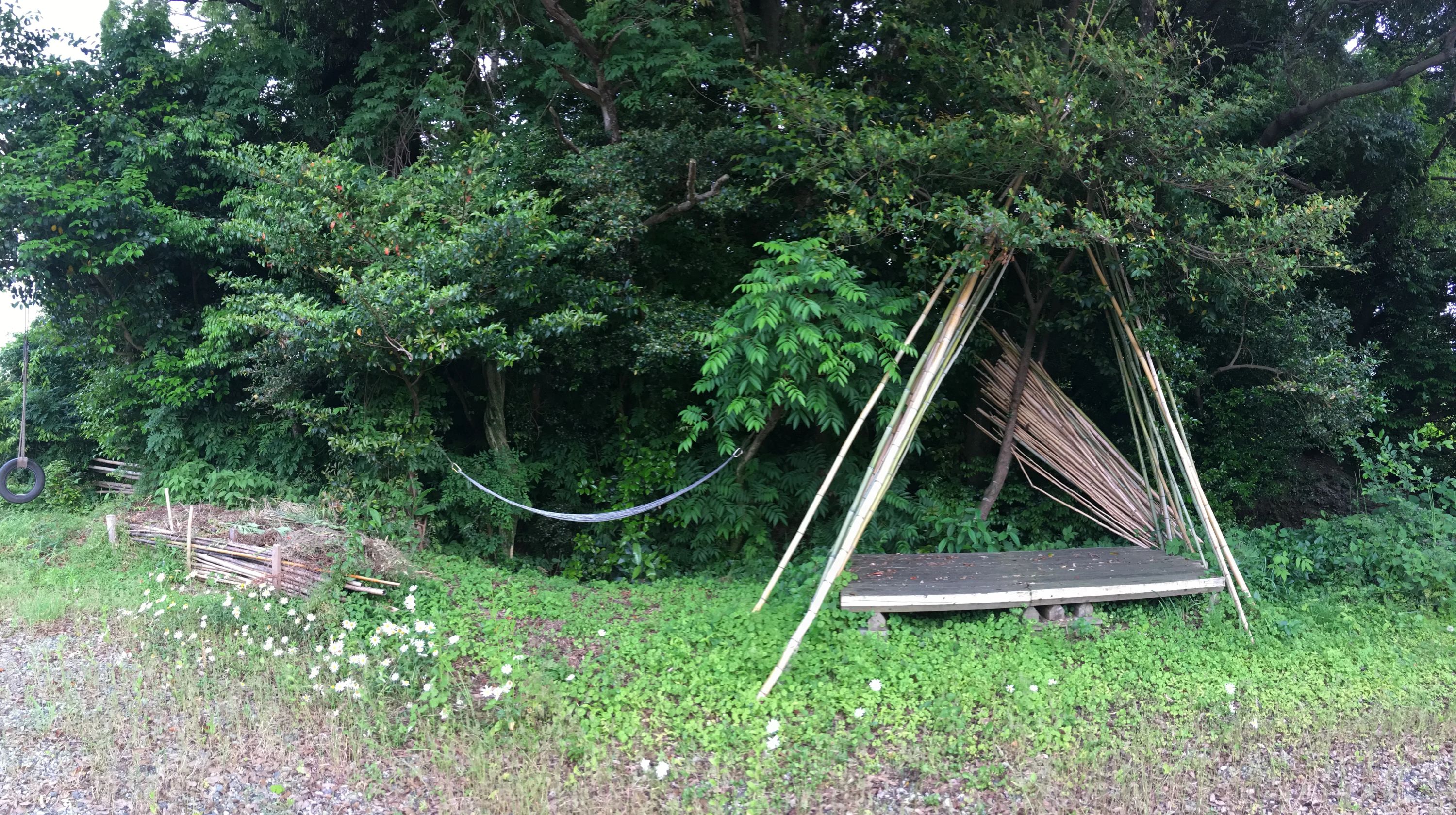 自然の英語工房 eigokobo 金立町教室のサムネイル画像 2