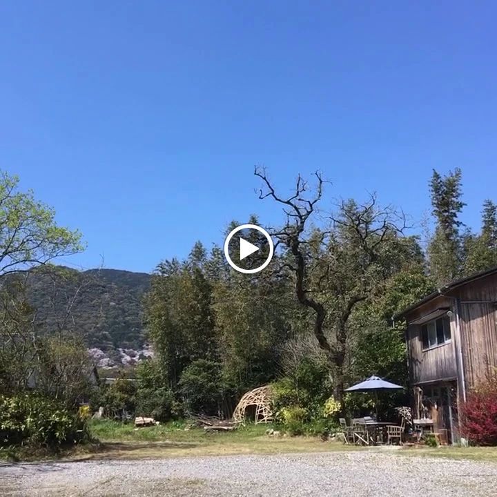 自然の英語工房 eigokobo 金立町教室のサムネイル画像 3