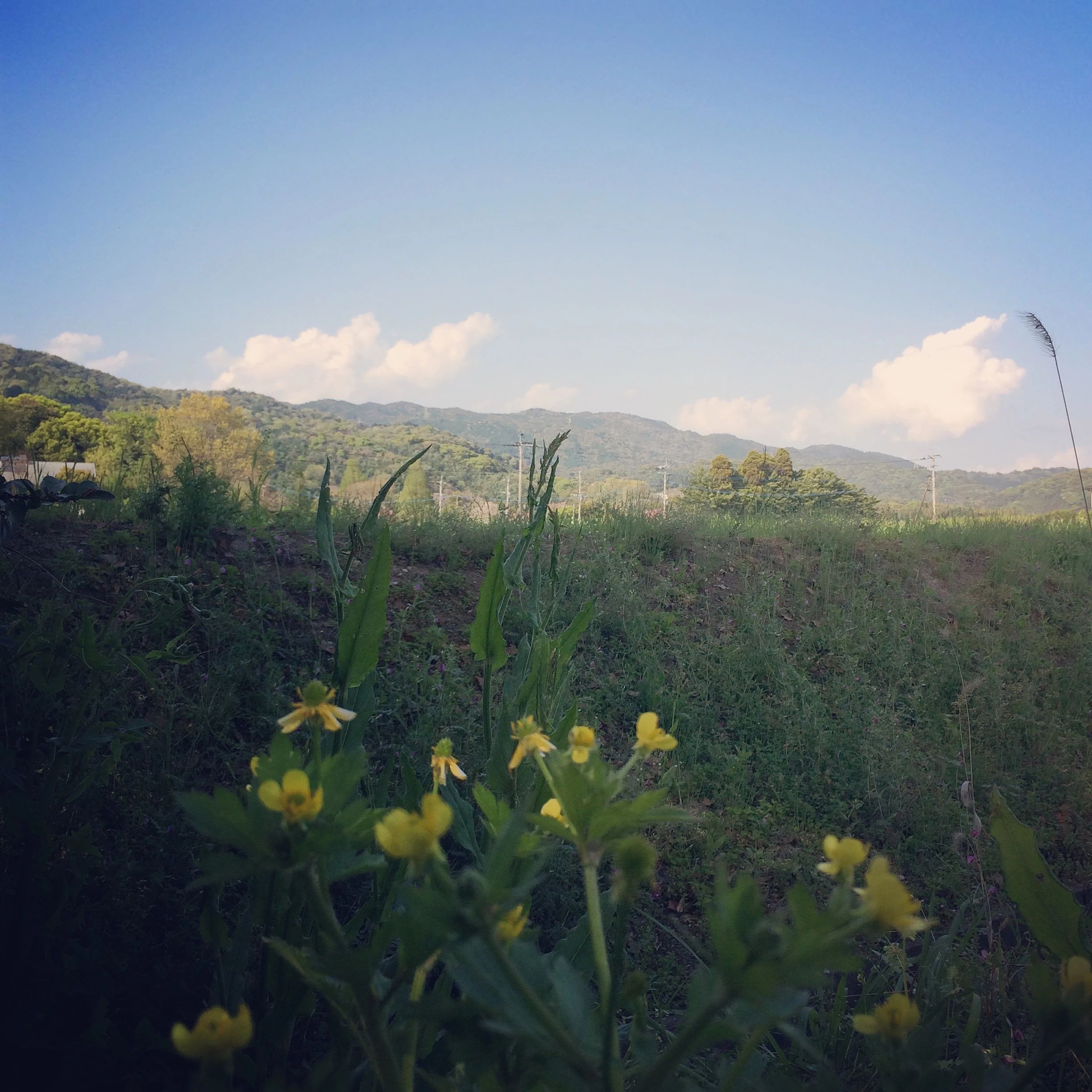 自然の英語工房 eigokobo 金立町教室のサムネイル画像 4