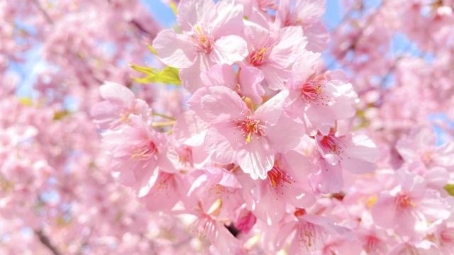 ワシントン外語学院 英語・英会話 上通町教室のメイン画像