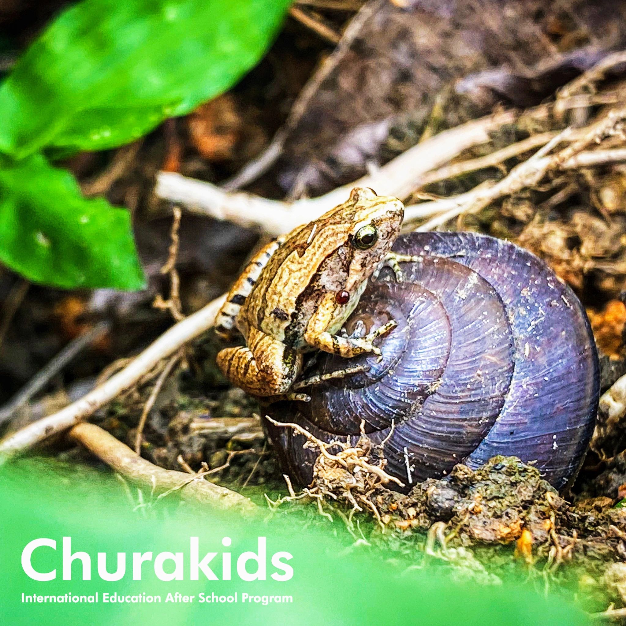 Churakids(チュラキッズ) 英語・英会話 海邦教室のサムネイル画像 3