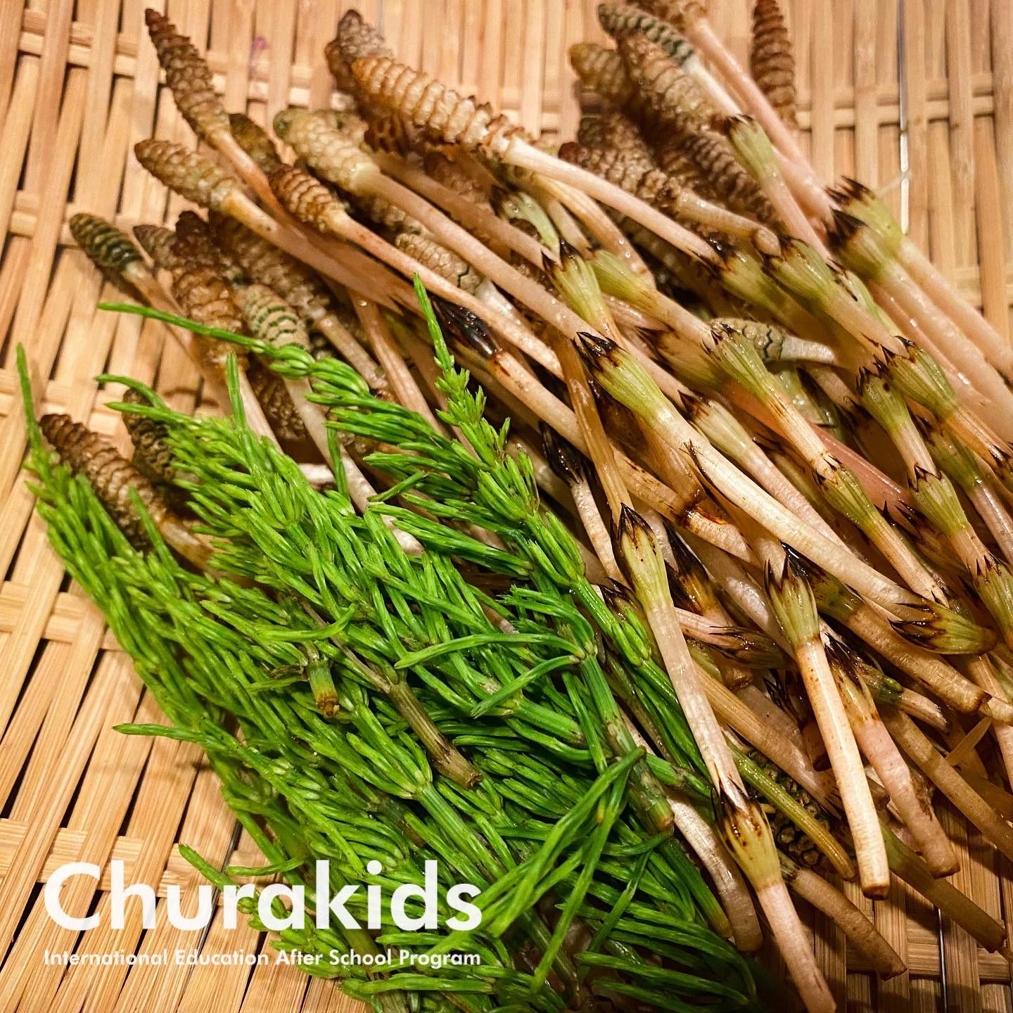 Churakids(チュラキッズ) 英語・英会話 海邦教室のサムネイル画像 4