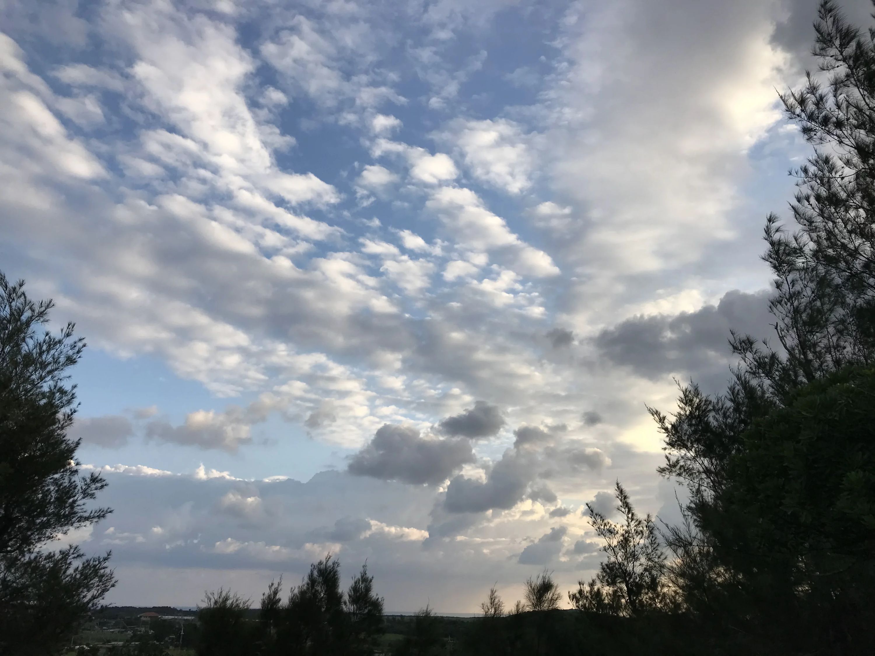 STEP WORLD(ステップワールド) 英語・英会話 宮古島教室のサムネイル画像 4