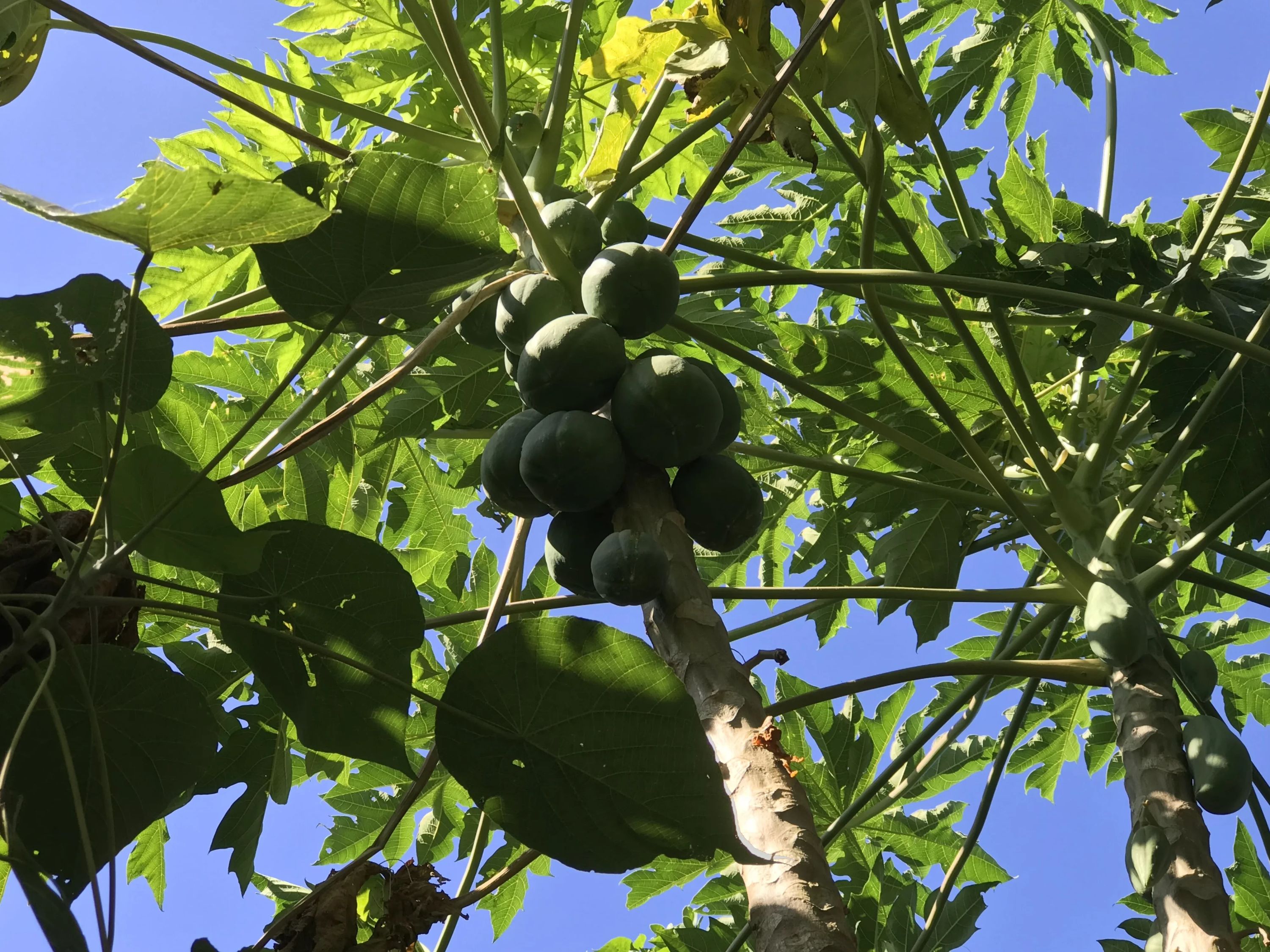 STEP WORLD(ステップワールド) 英語・英会話 宮古島教室のサムネイル画像 5