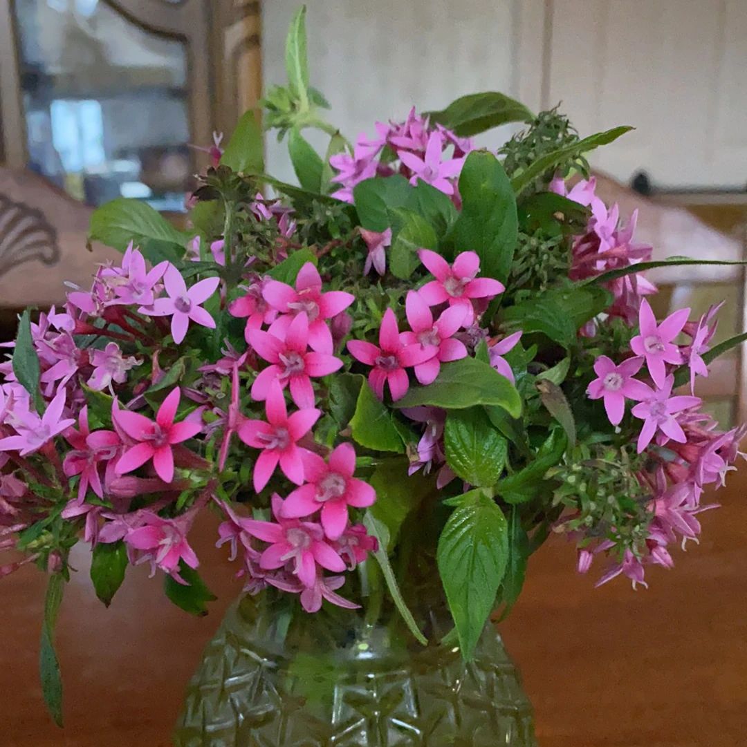 アルクKiddy CAT 英語・英会話 Fun! Fun! English 我如古校のメイン画像