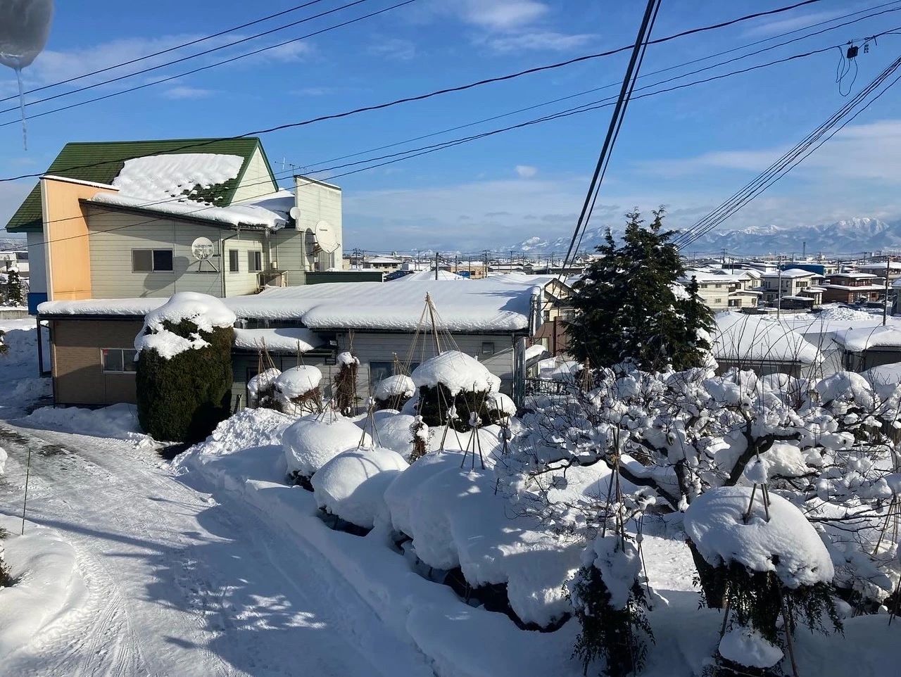 数研ゼミ 寒河江校本校のサムネイル画像 5