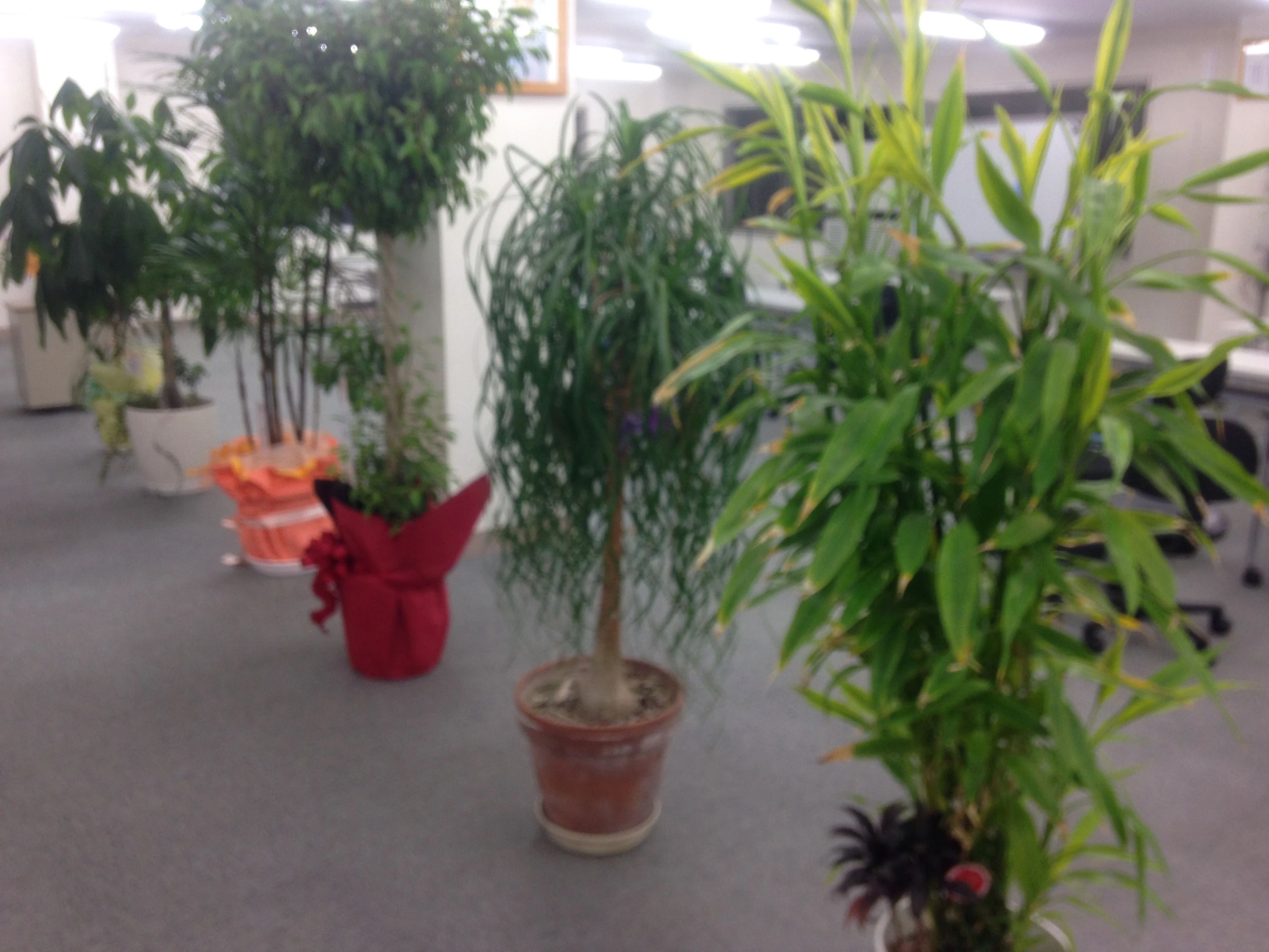 数学・能力開発塾『開華』 沼田校のサムネイル画像 2