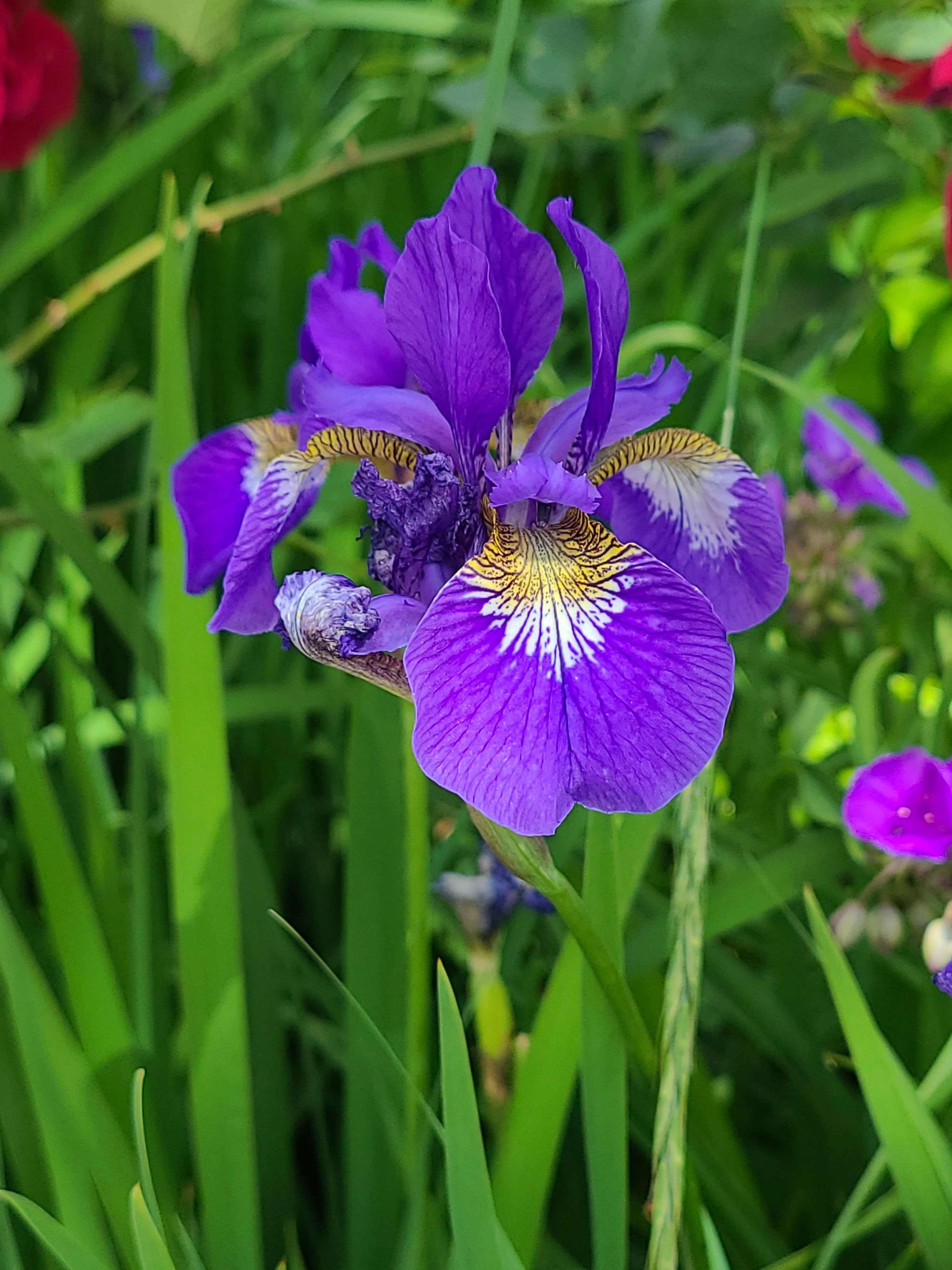 ファインズグループ 国立スクールのサムネイル画像 3