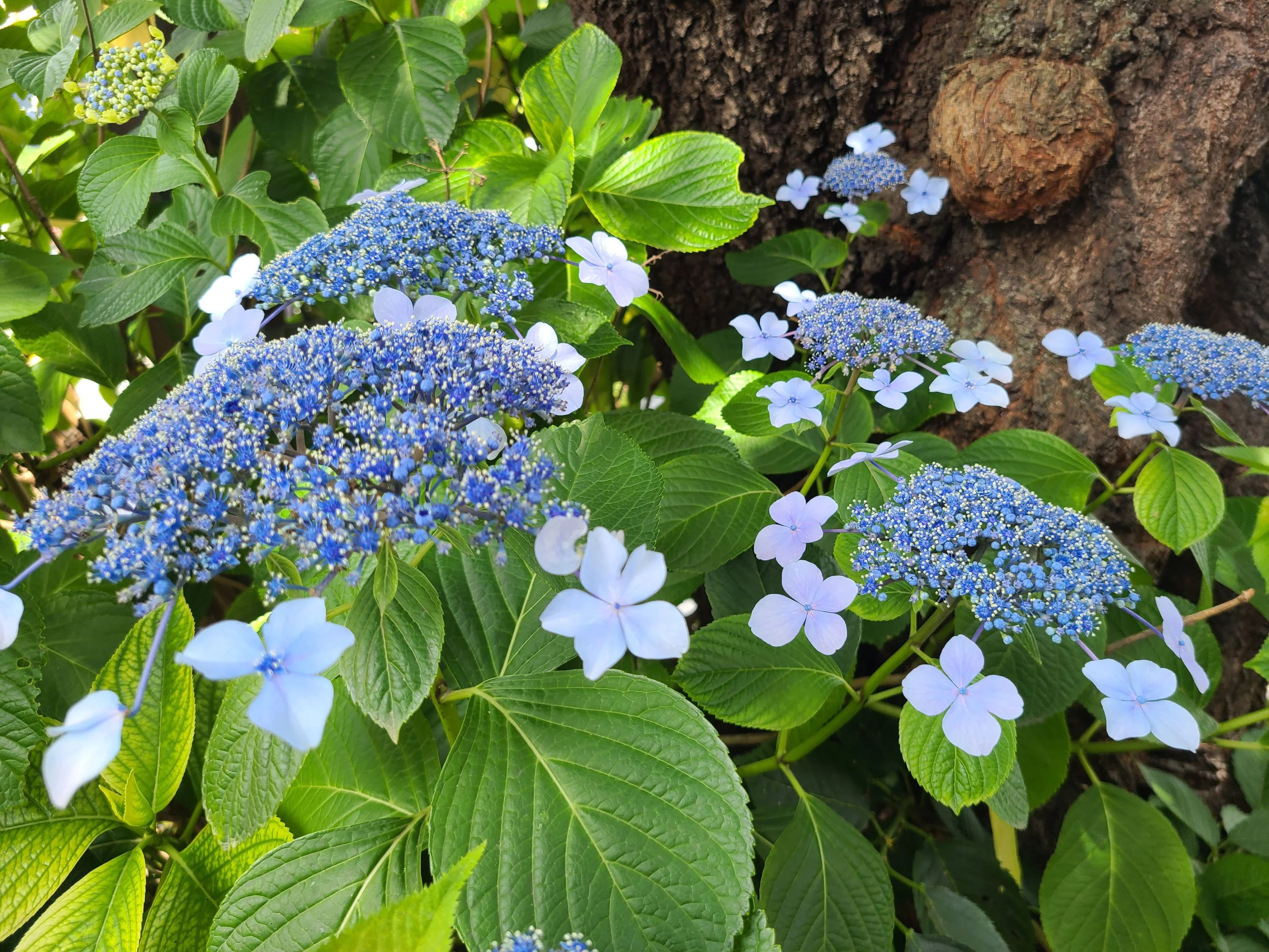 ファインズグループ 国立スクールのメイン画像
