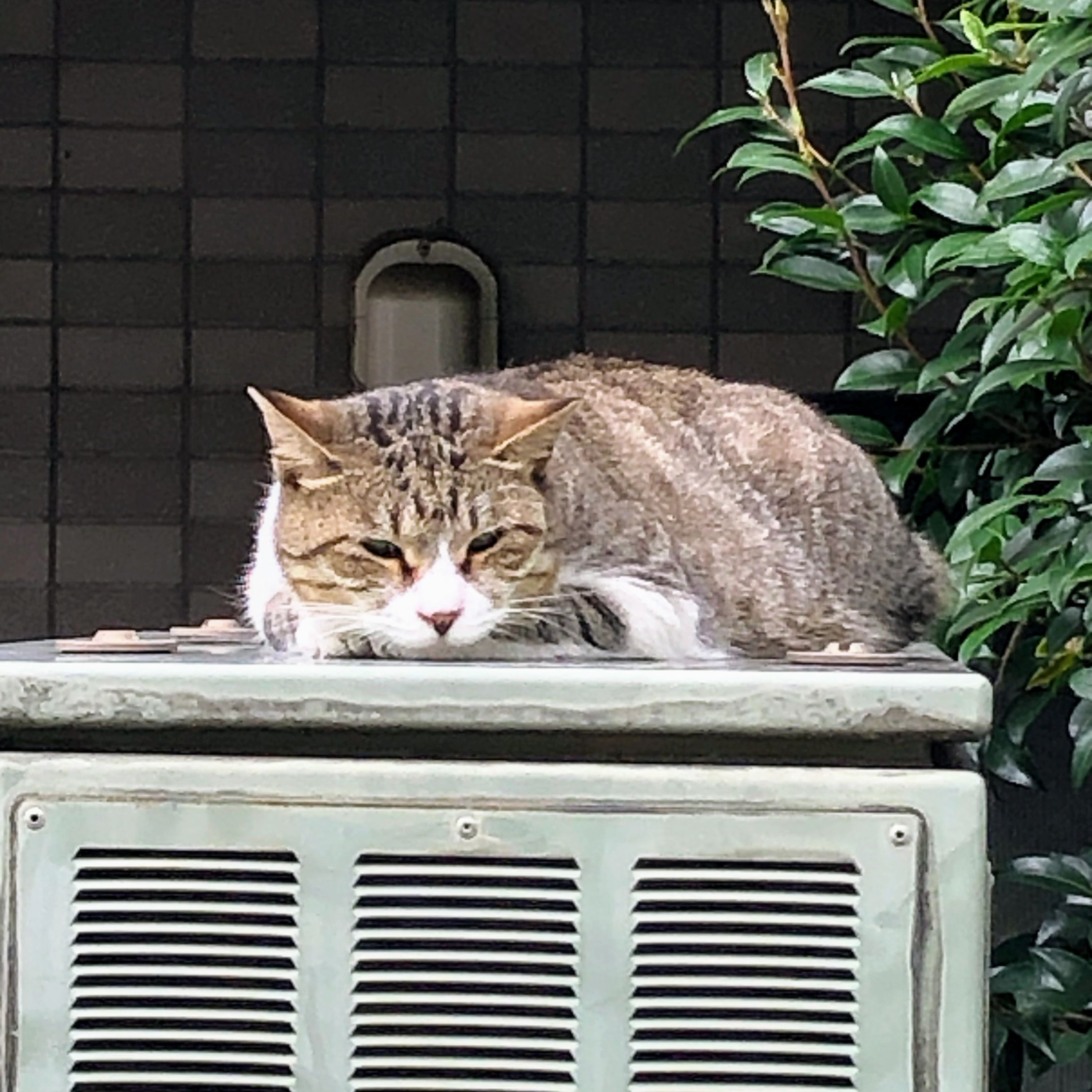 東原算盤塾 池袋本町教室のサムネイル画像 2