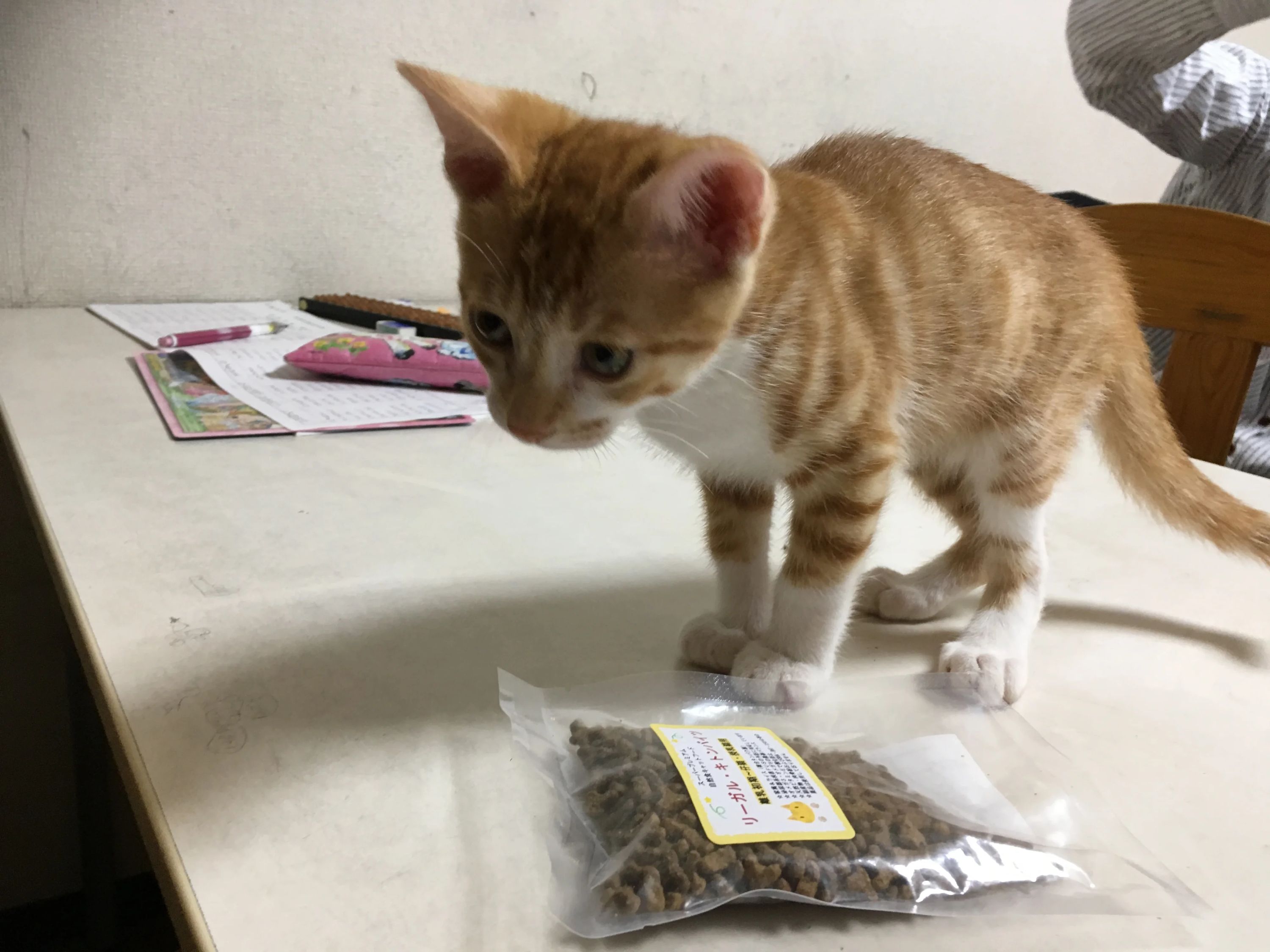 菅原そろばん教室[神奈川県横浜市] センター北教室のサムネイル画像 4