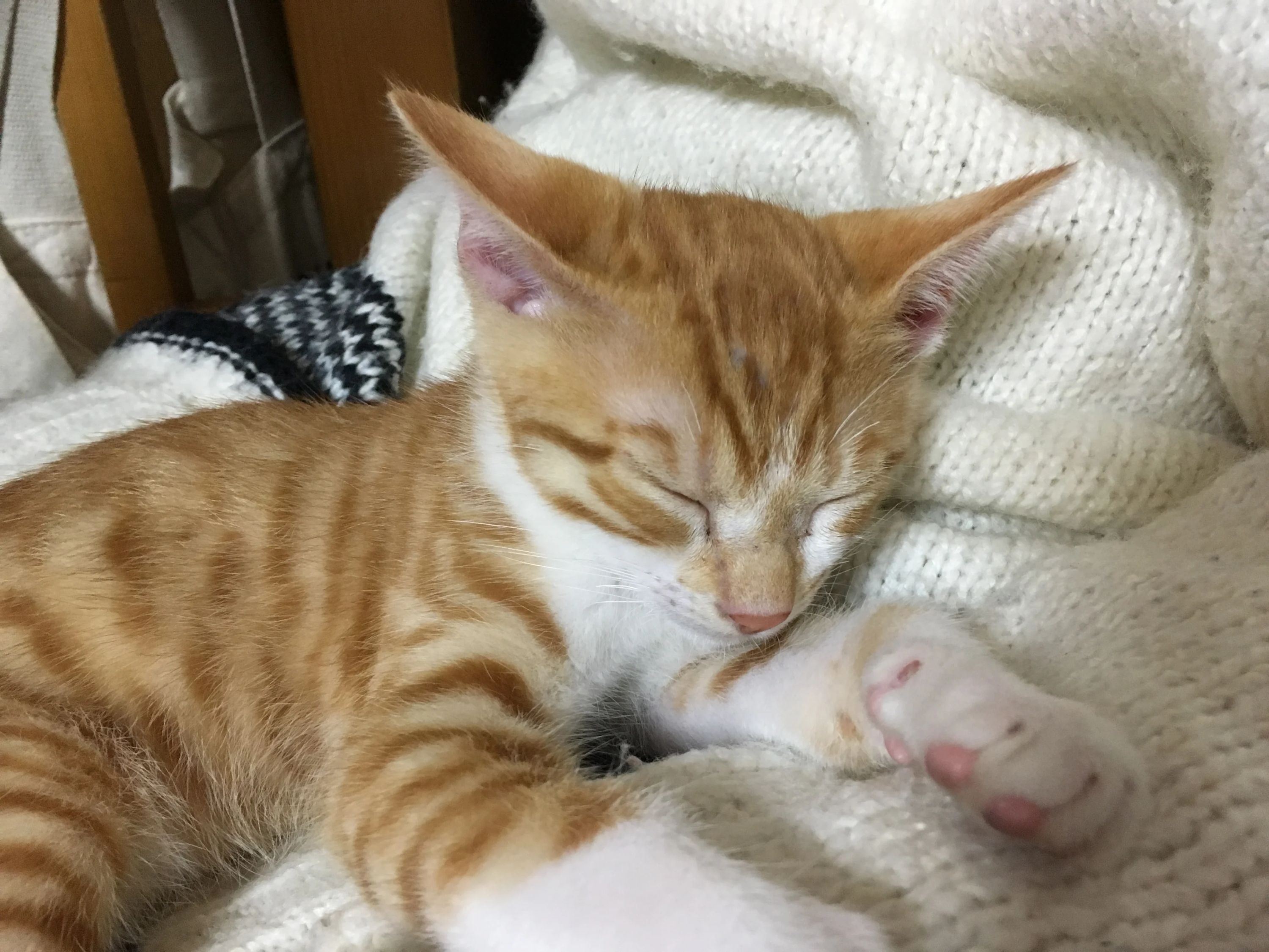 菅原そろばん教室[神奈川県横浜市] センター北教室のサムネイル画像 3