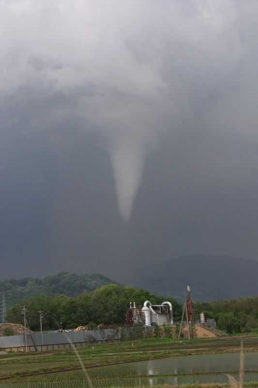そろばん塾ピコ 学習塾ポラリス　ピコ柏常盤台校のサムネイル画像 2