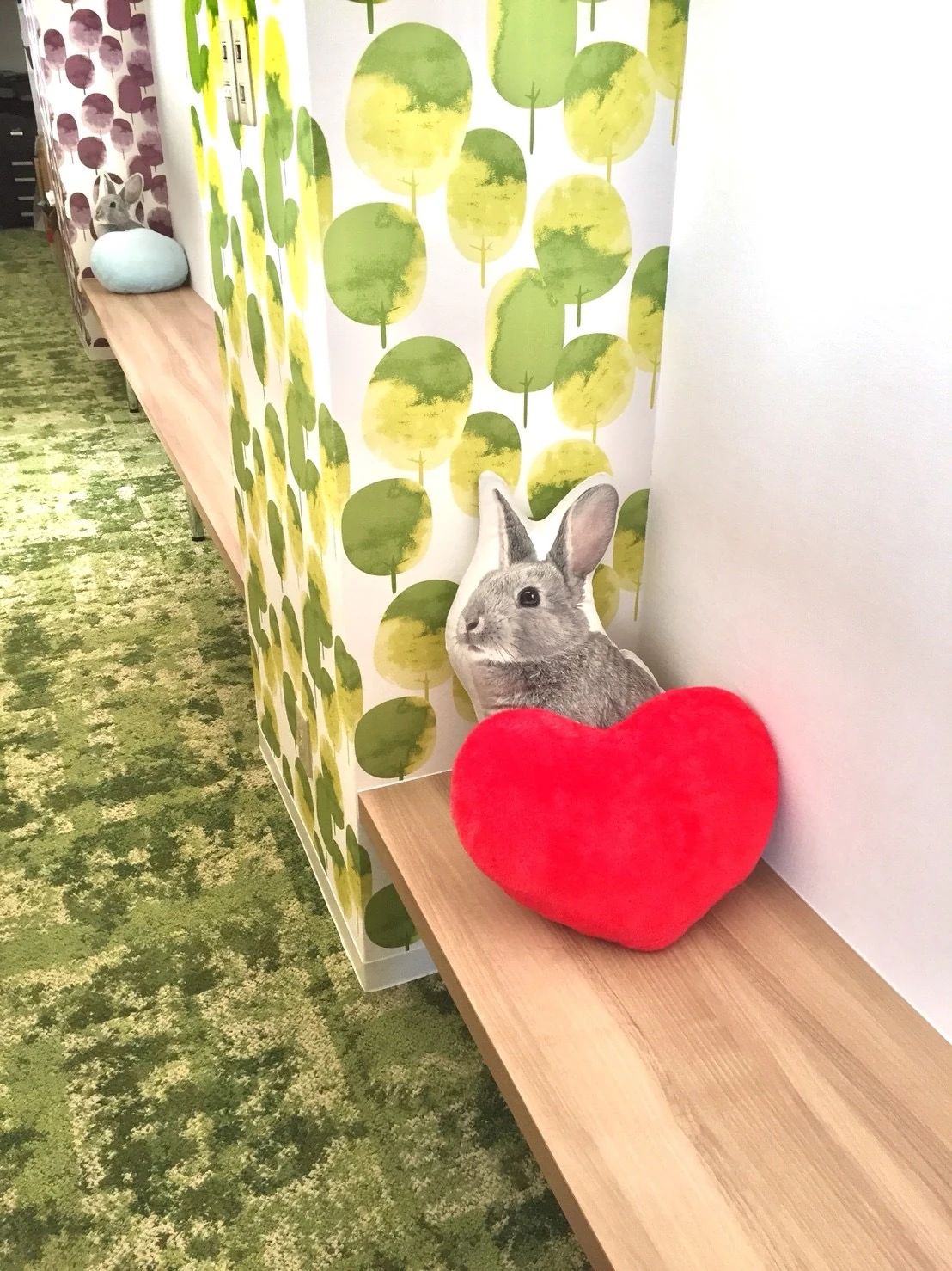 個別志導のサクセス そろばん 康生校のメイン画像