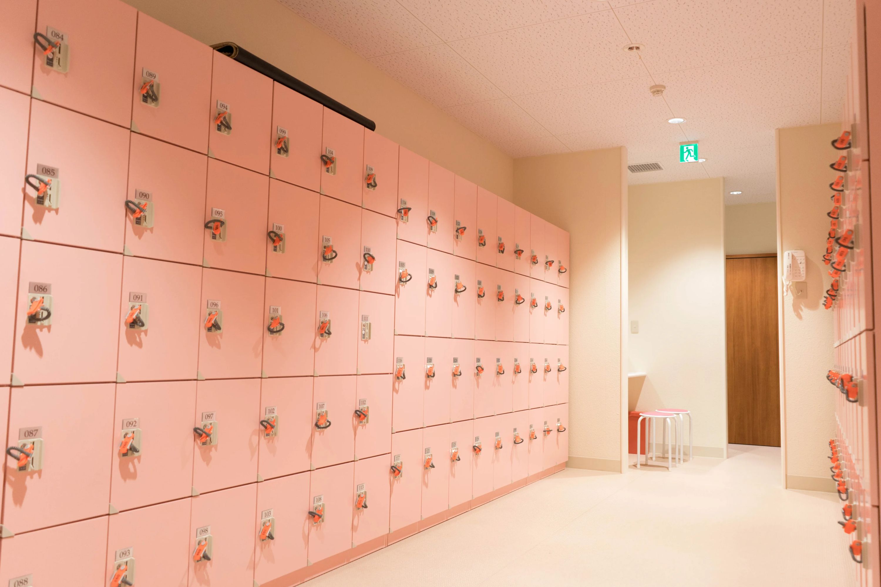 東急スイミングスクール たまがわのサムネイル画像 3