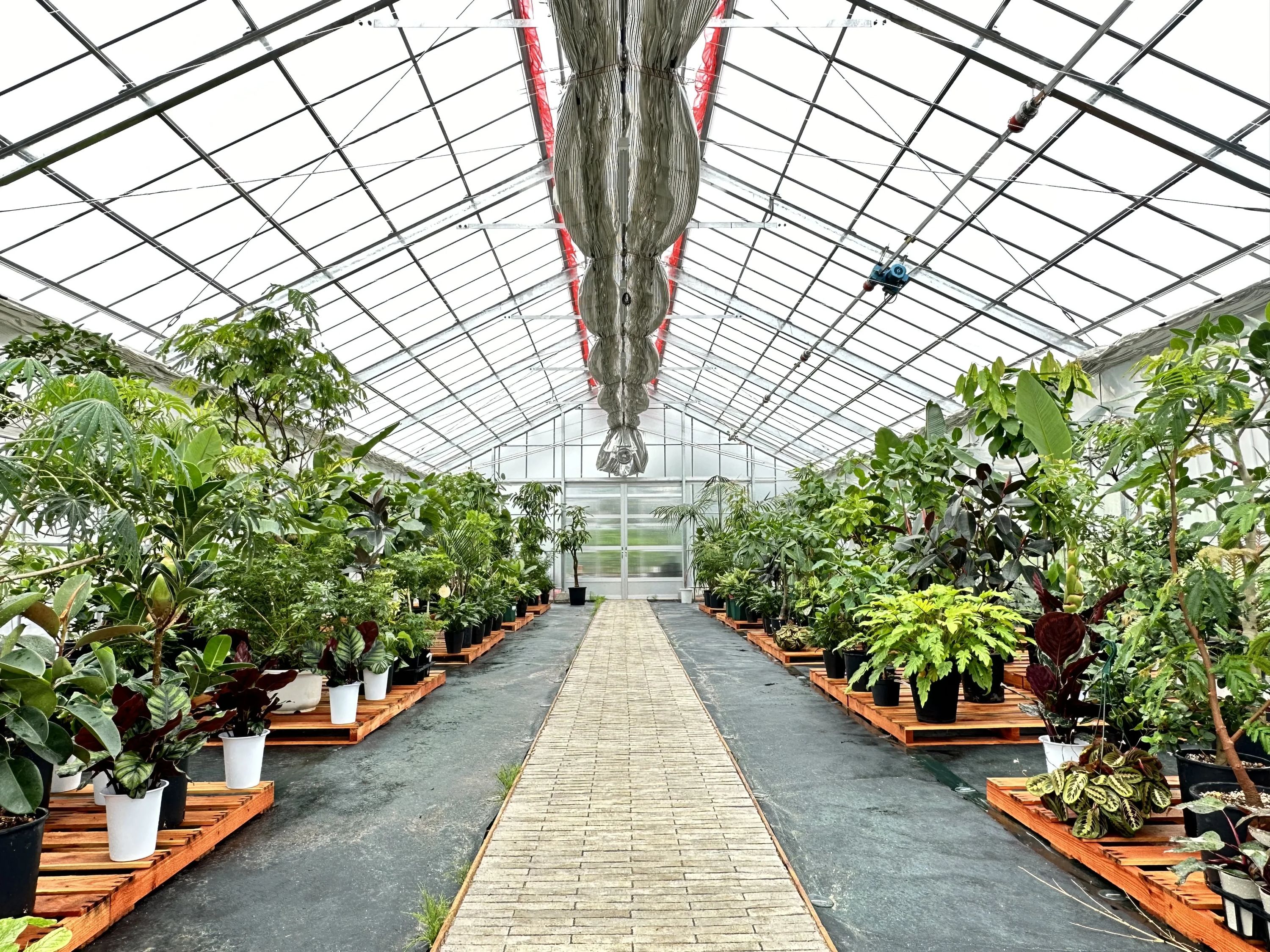 土EN FARM SCHOOLのメイン画像