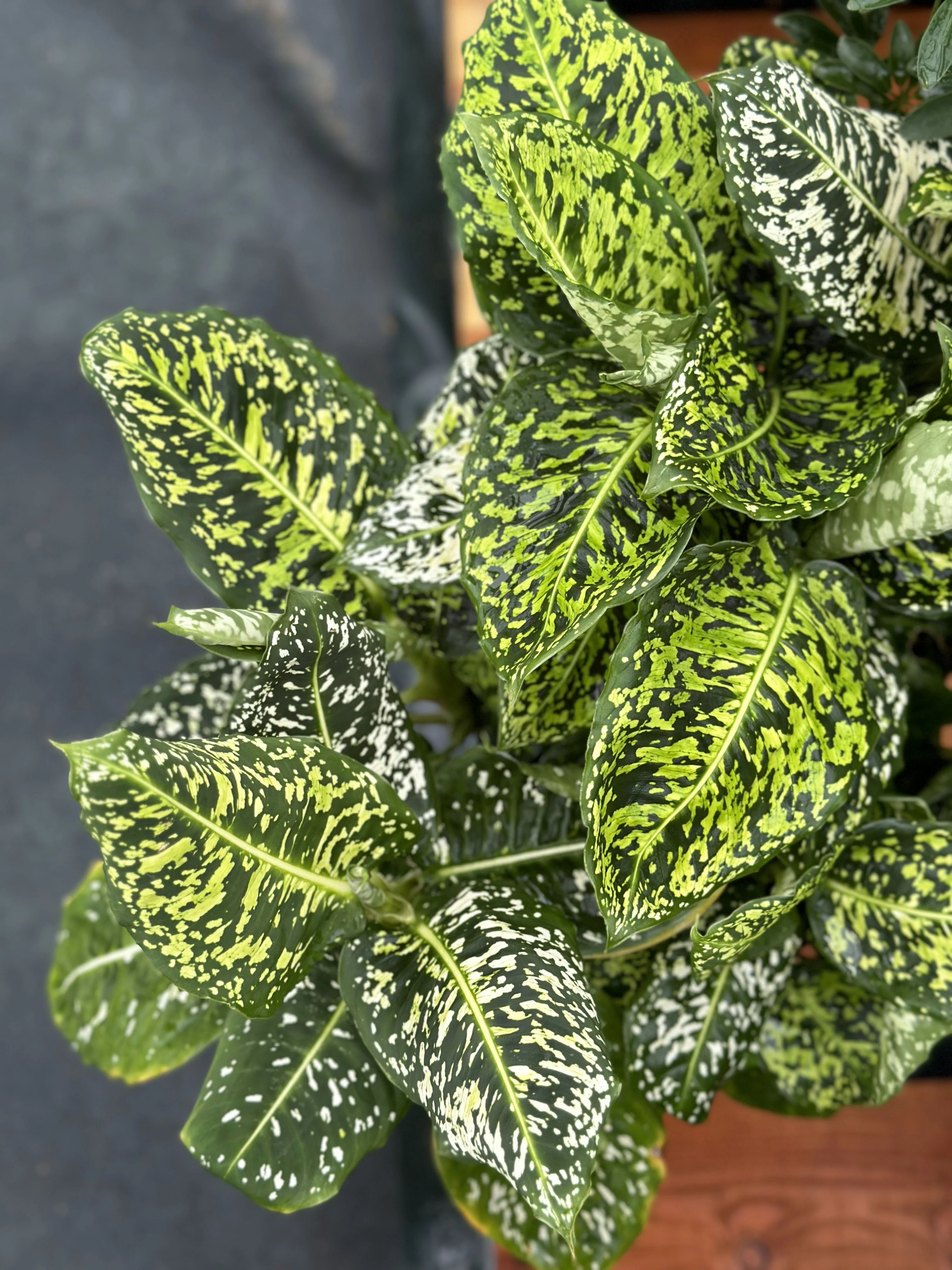 土EN FARM SCHOOLのサムネイル画像 4