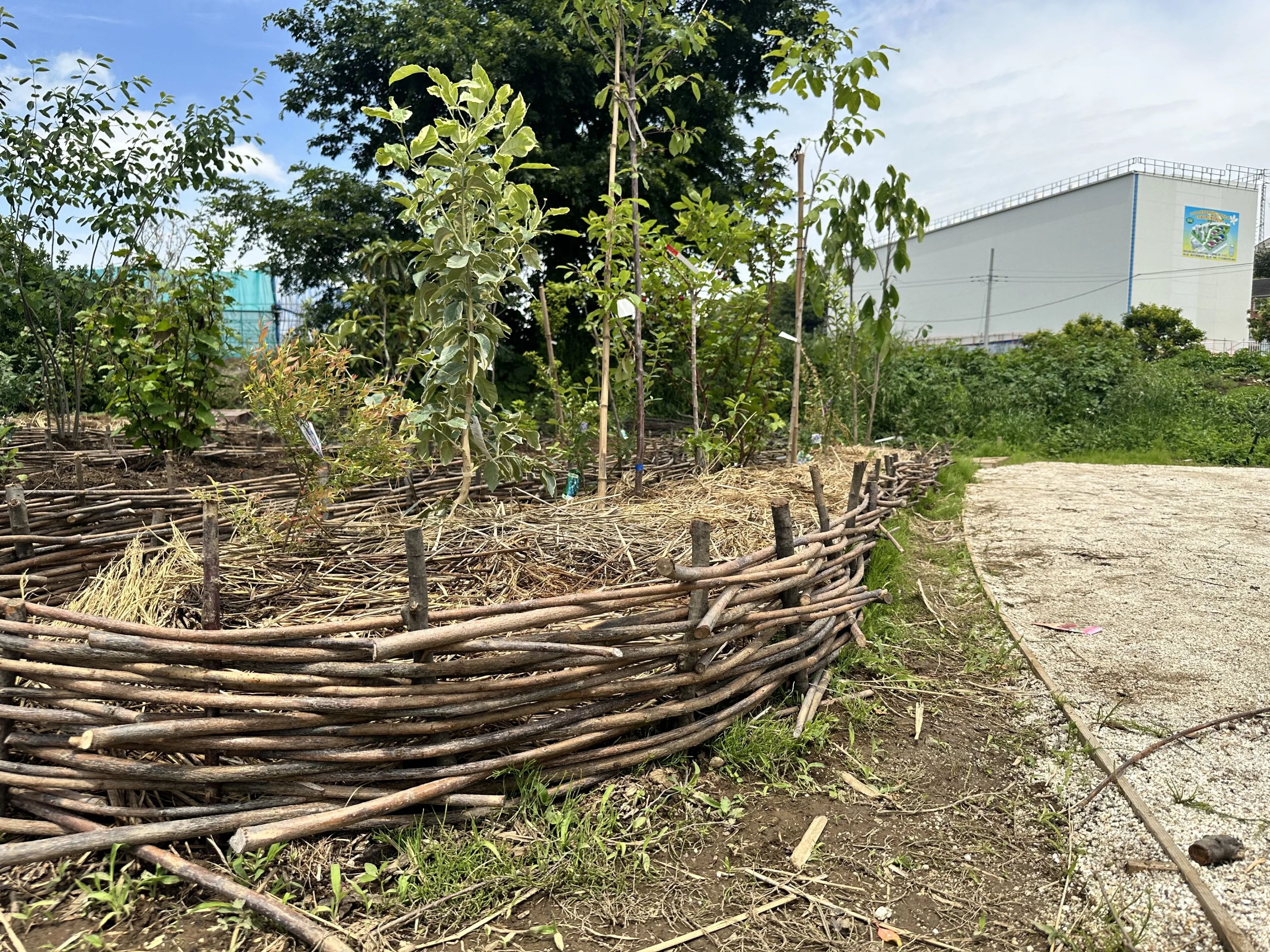 土EN FARM SCHOOLのサムネイル画像 5