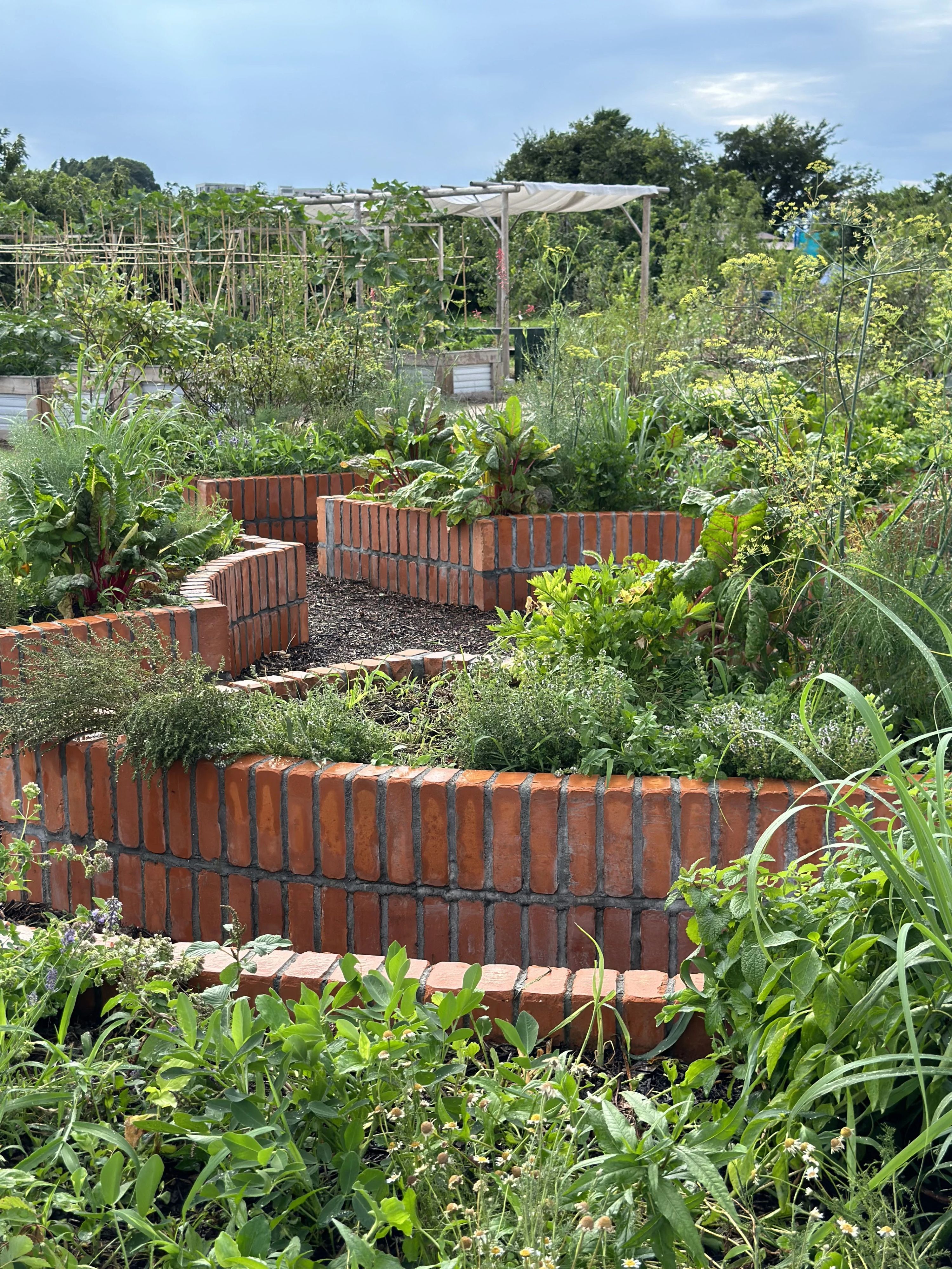 土EN FARM SCHOOLのサムネイル画像 3