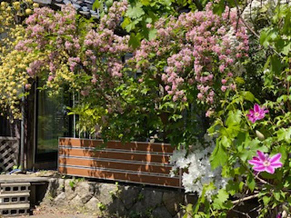 こまむら児童教育社 算数教室 学校町教室のサムネイル画像 2