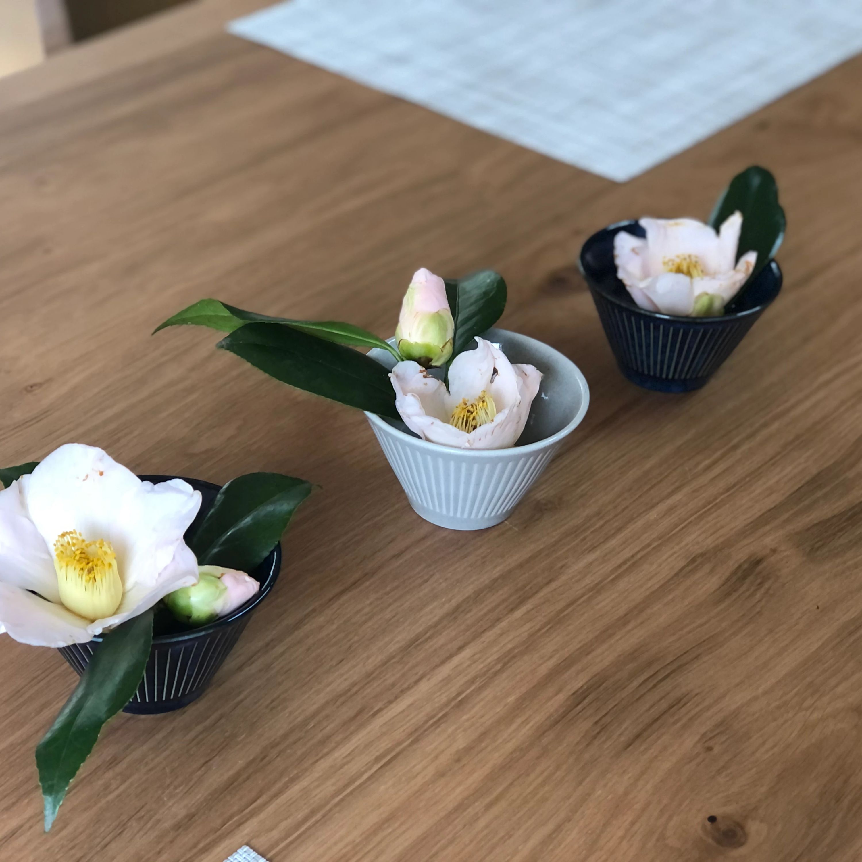 和あそび月紫野庵 習字・書道 一之江教室のサムネイル画像 2