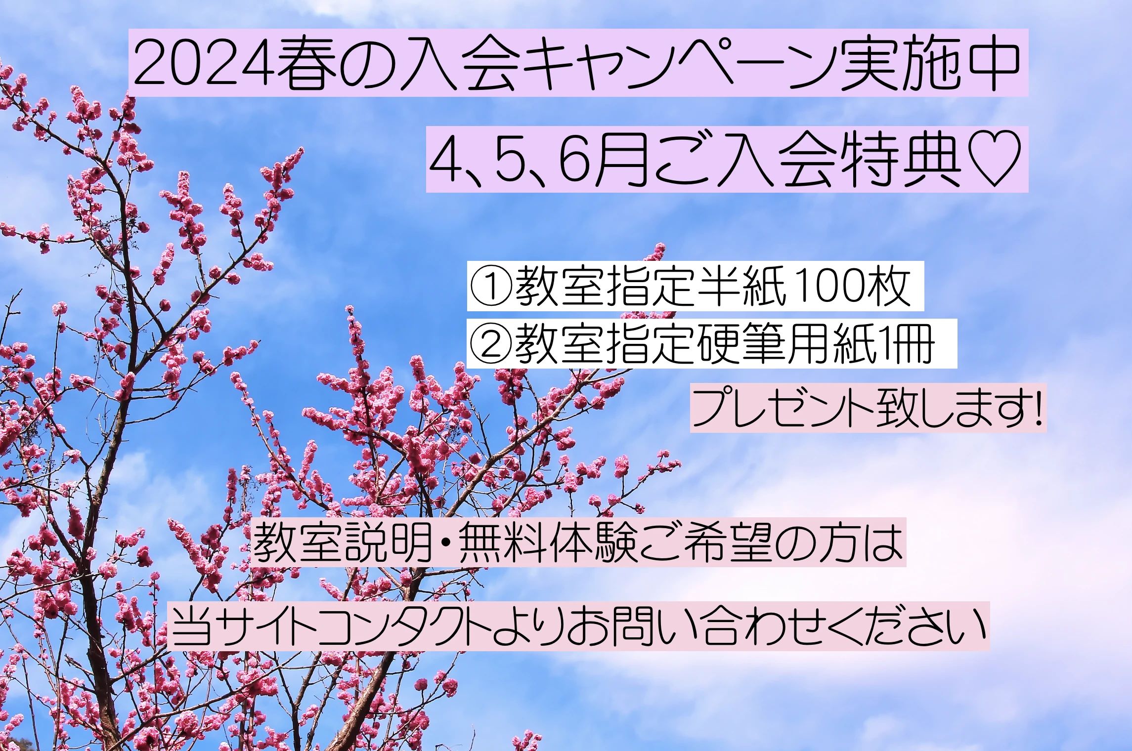 灯心書道教室 木野目教室のサムネイル画像 5