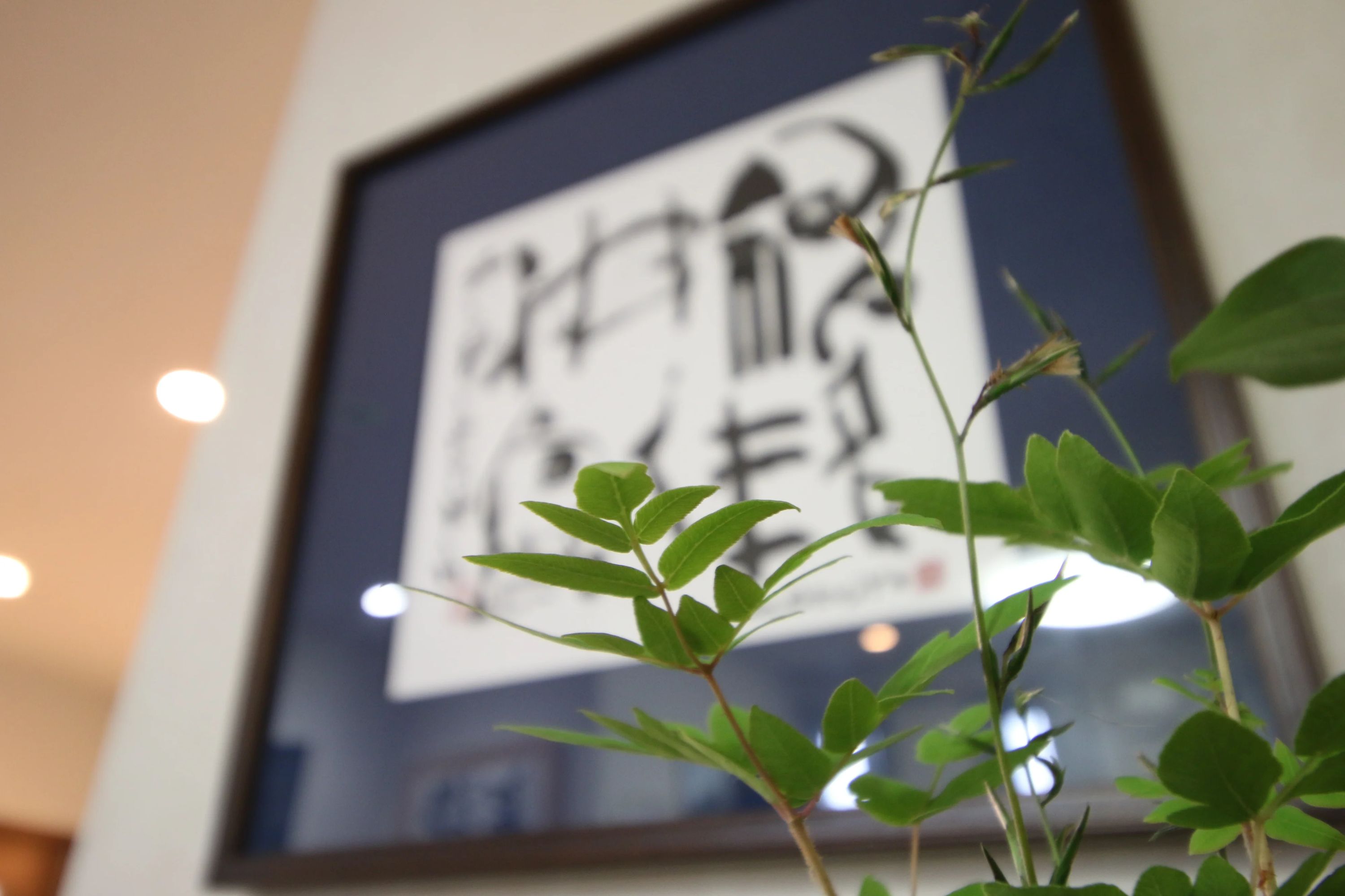 白玄会 習字・書道 岡部支部のサムネイル画像 3