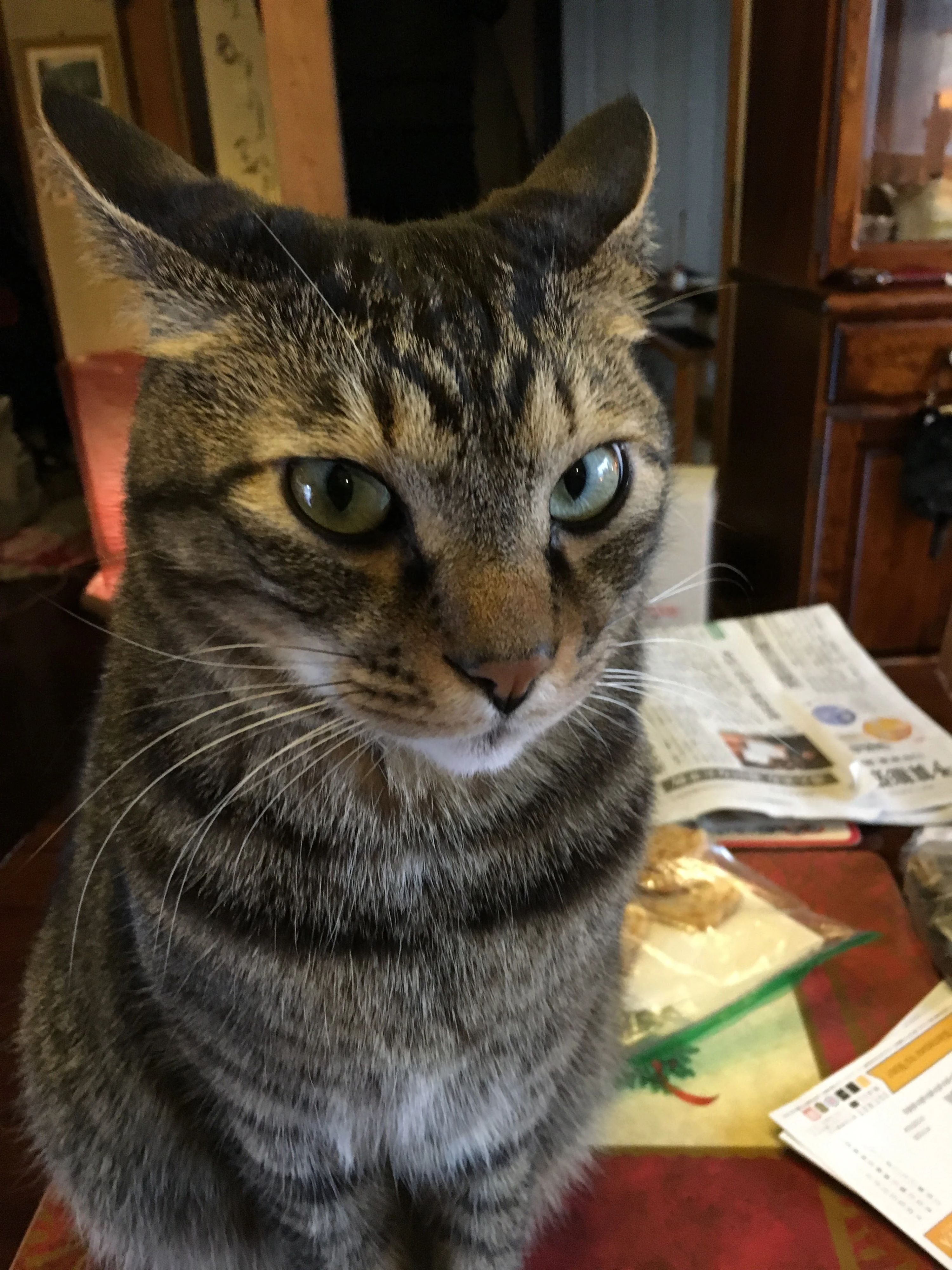 上野柳麗　書道教室 上横田町教室のメイン画像