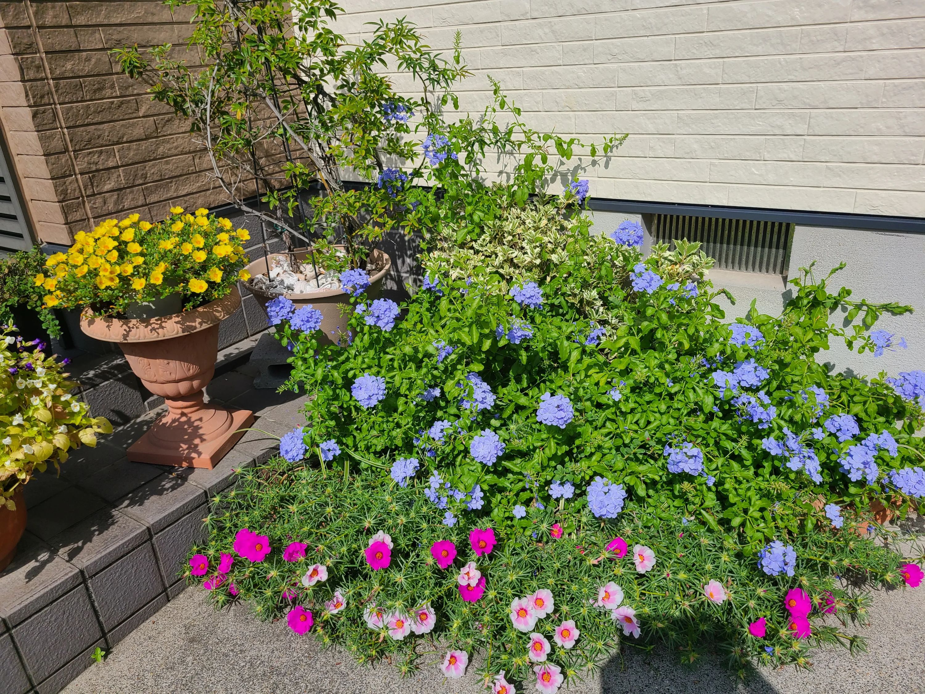 安井書道教室 平島東教室のメイン画像