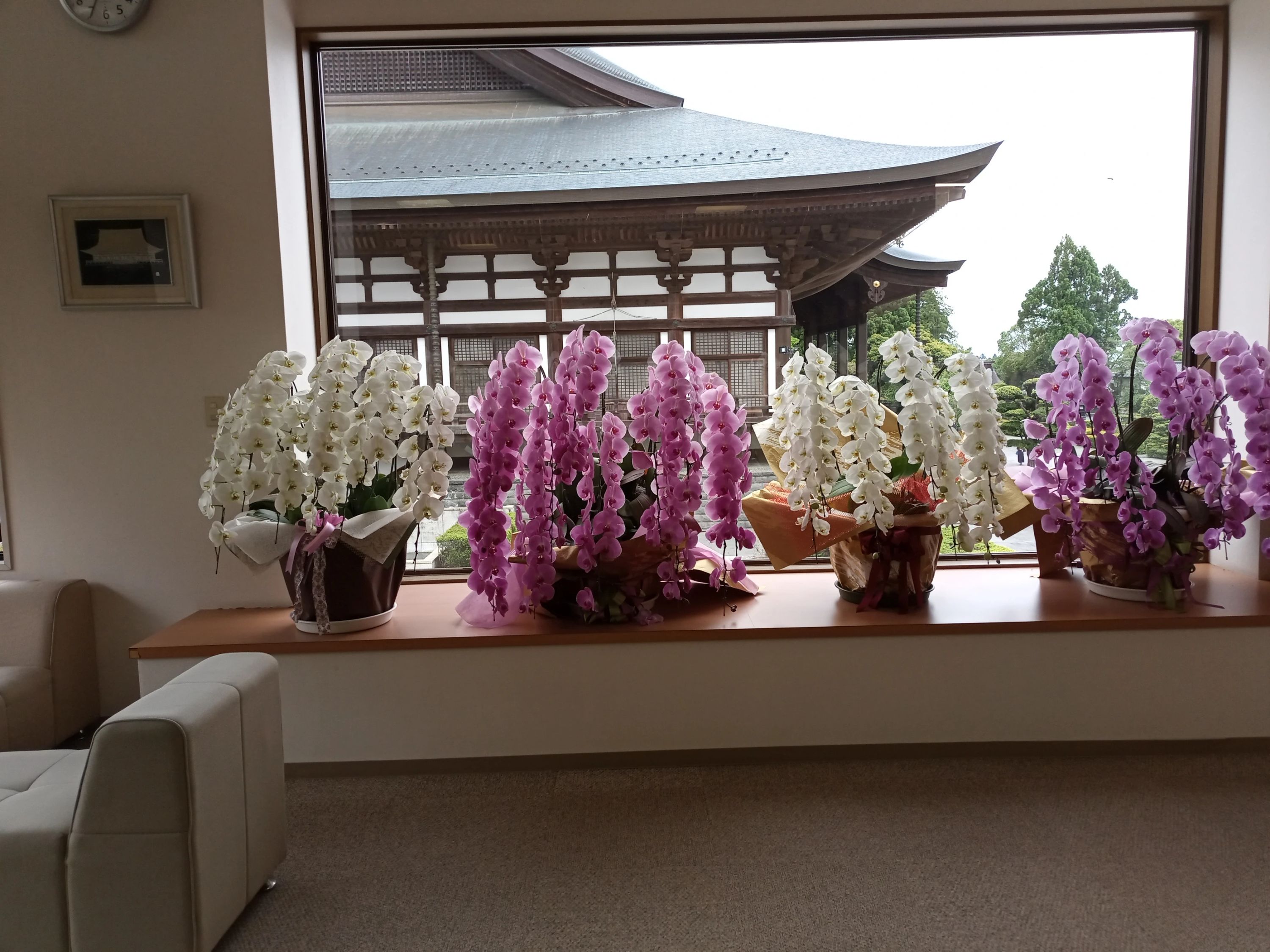 幸友書道L&C恭 竜美南教室のサムネイル画像 2