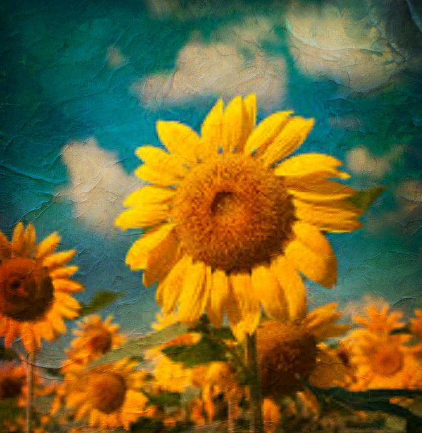 しょうこ習字教室 板倉教室のメイン画像