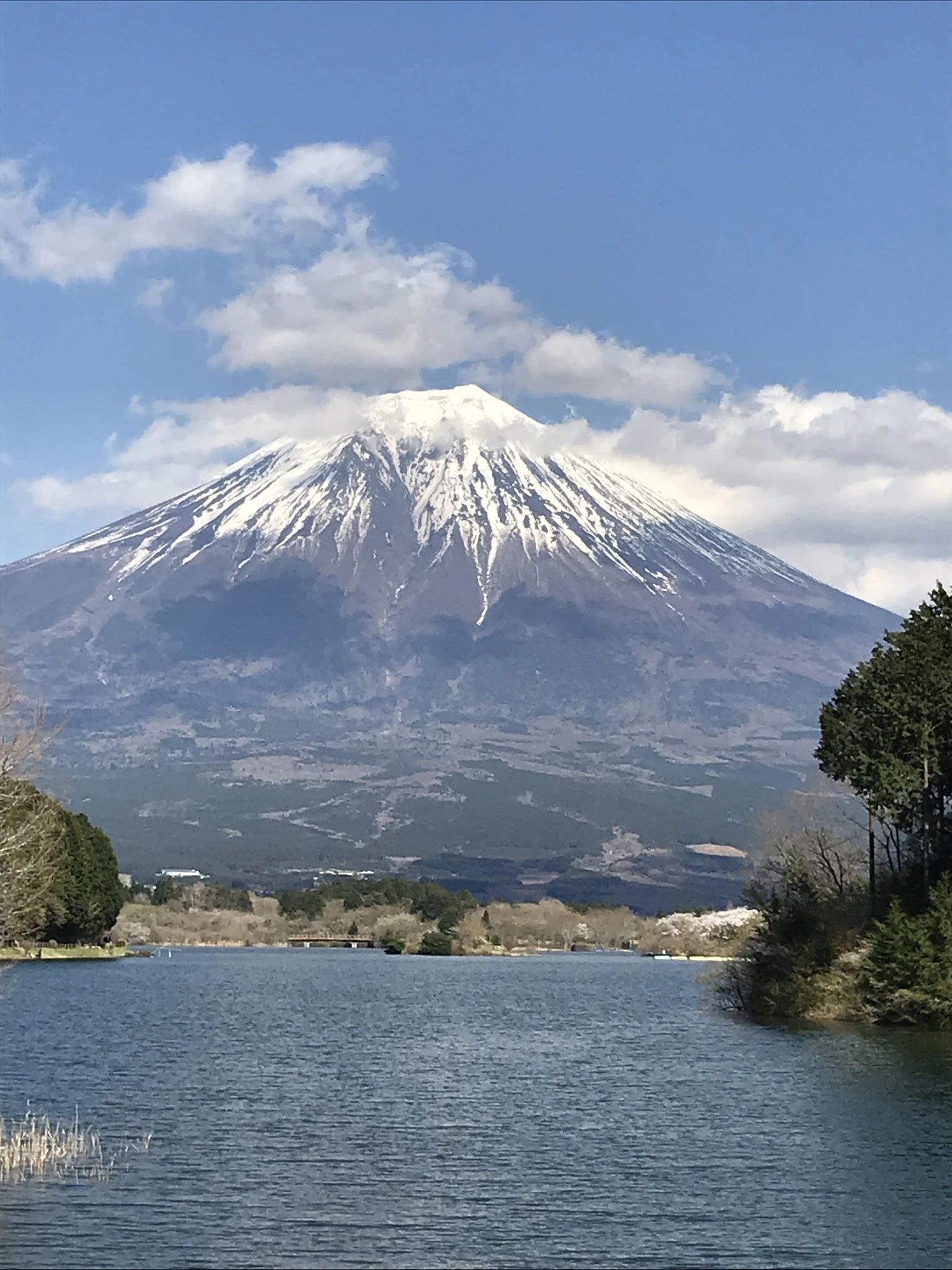 三桃書道教室 米之宮教室のサムネイル画像 3