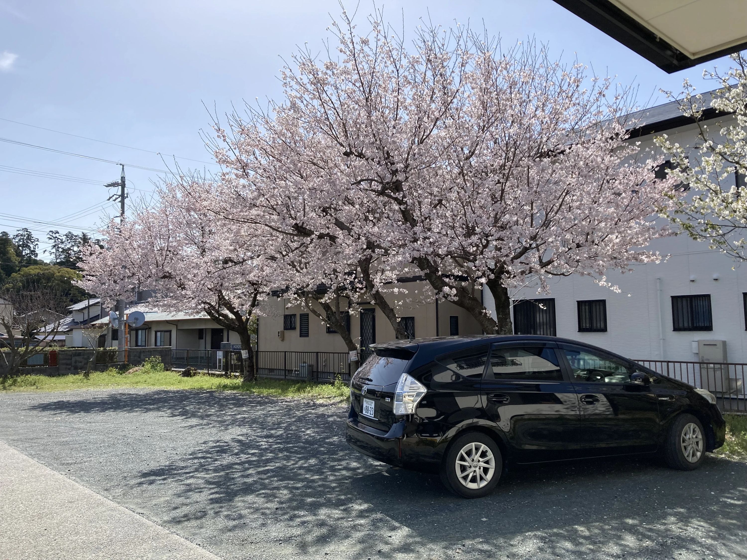 古藤書屋 見付教室のサムネイル画像 2
