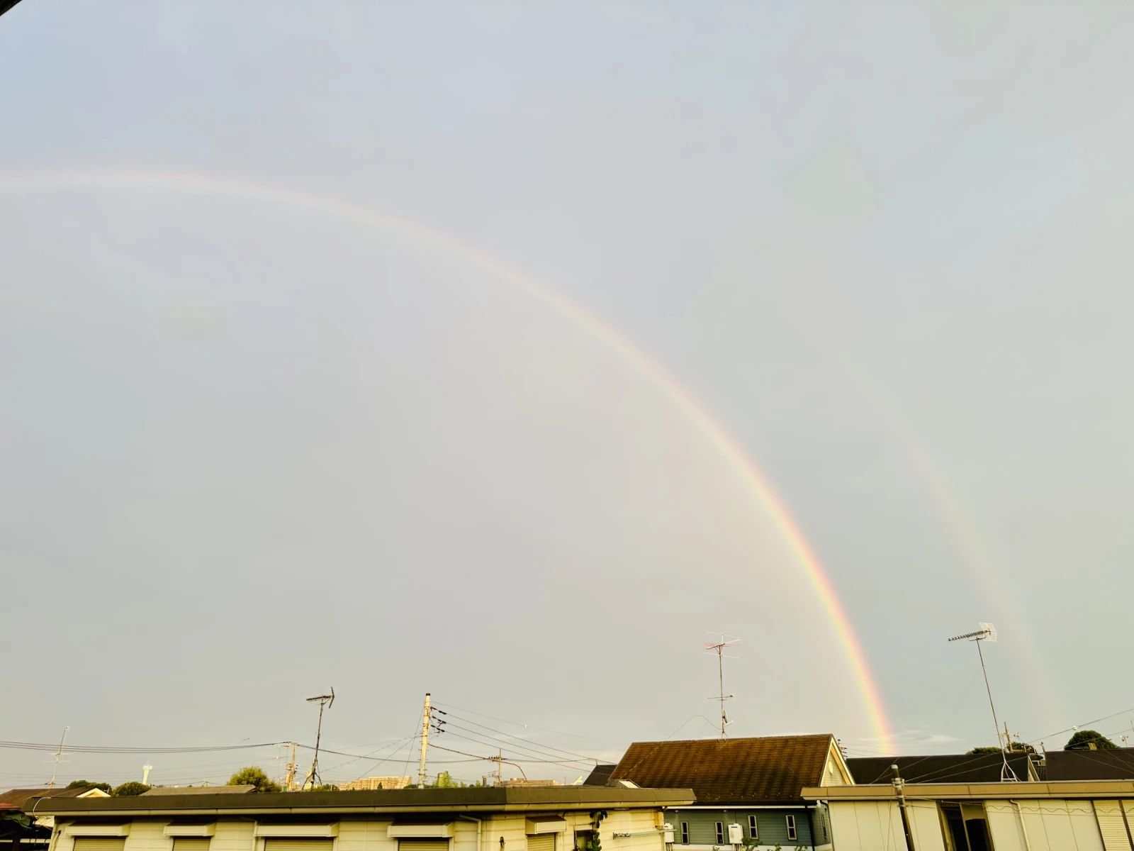 英才個別学院 新秋津校のサムネイル画像 2