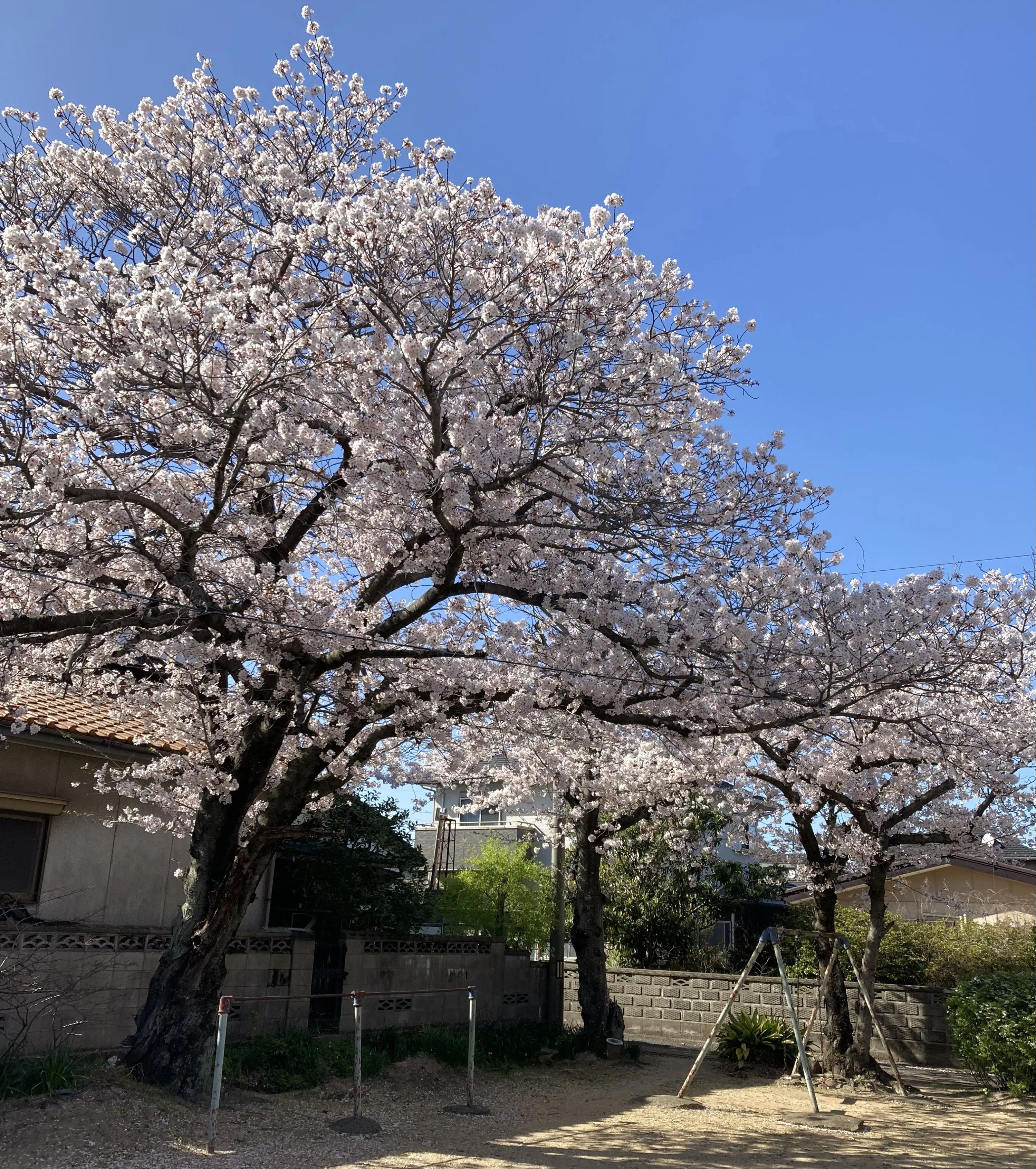 習研 習字・書道 北竜王町自治会館のサムネイル画像 3