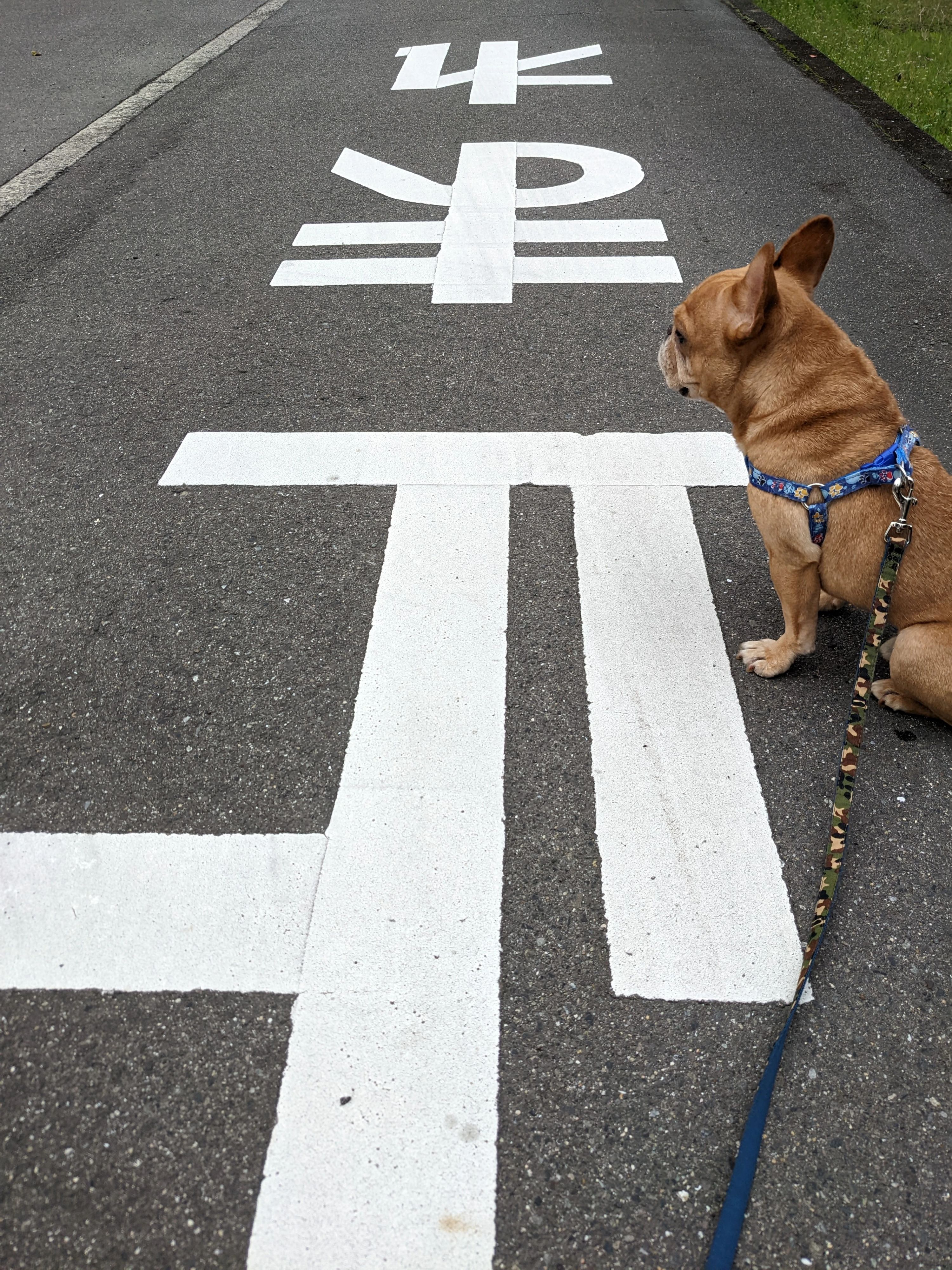 聖融書道会 植田教室のメイン画像