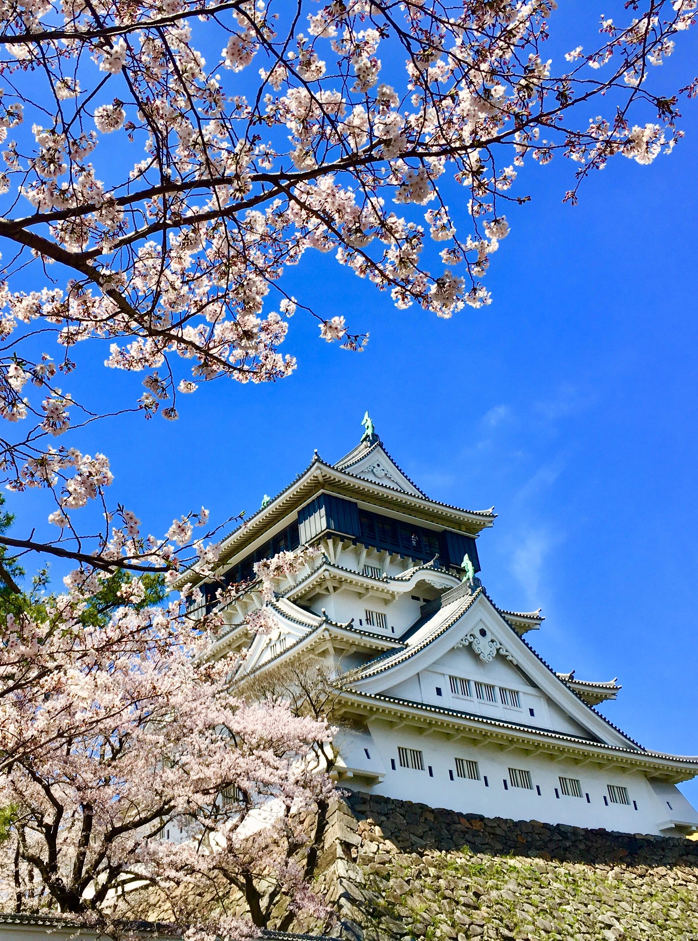 心輝書道会 小倉城庭園のメイン画像