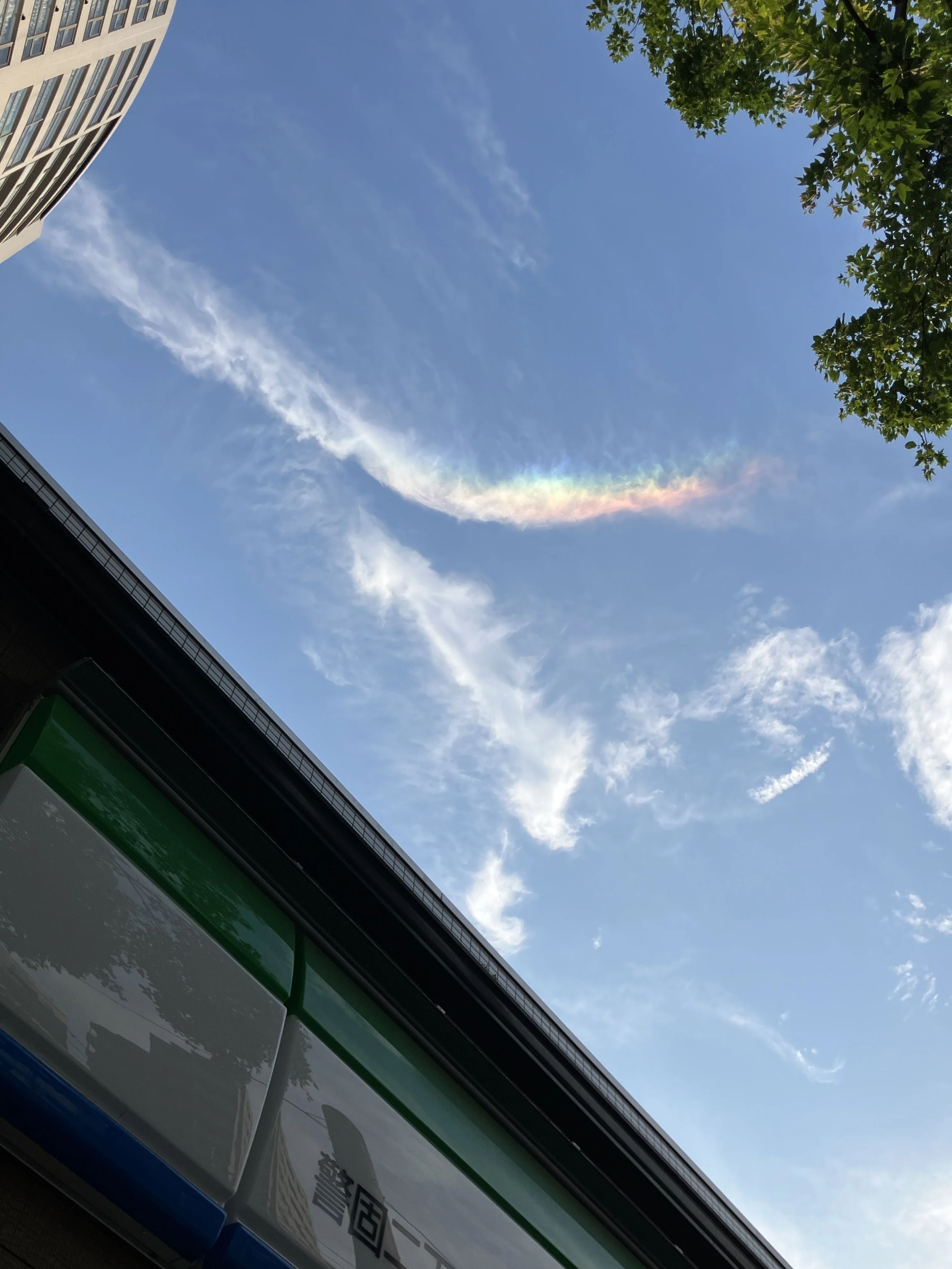 泰山書院 警固教室のサムネイル画像 2