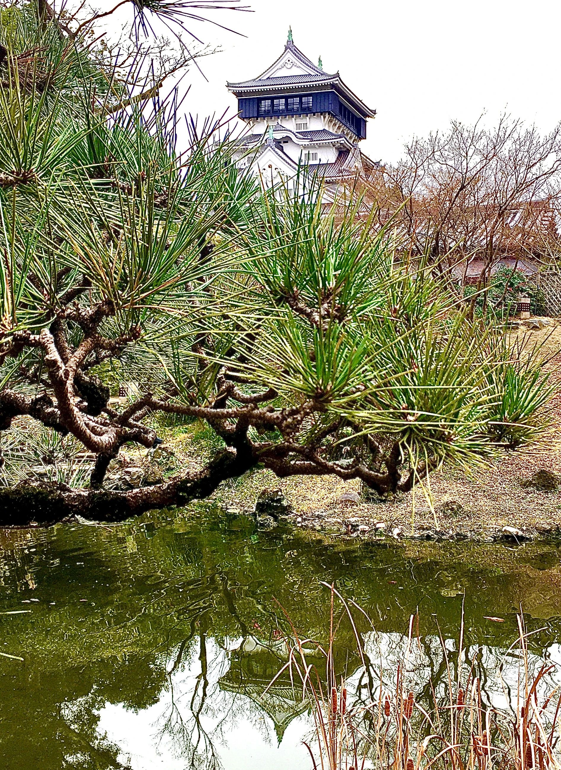 心輝書道会 小倉城庭園教室のサムネイル画像 2