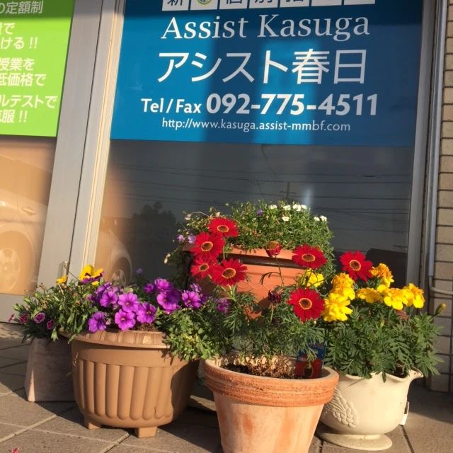 Assist Kasuga 速読 下白水南教室のサムネイル画像 4