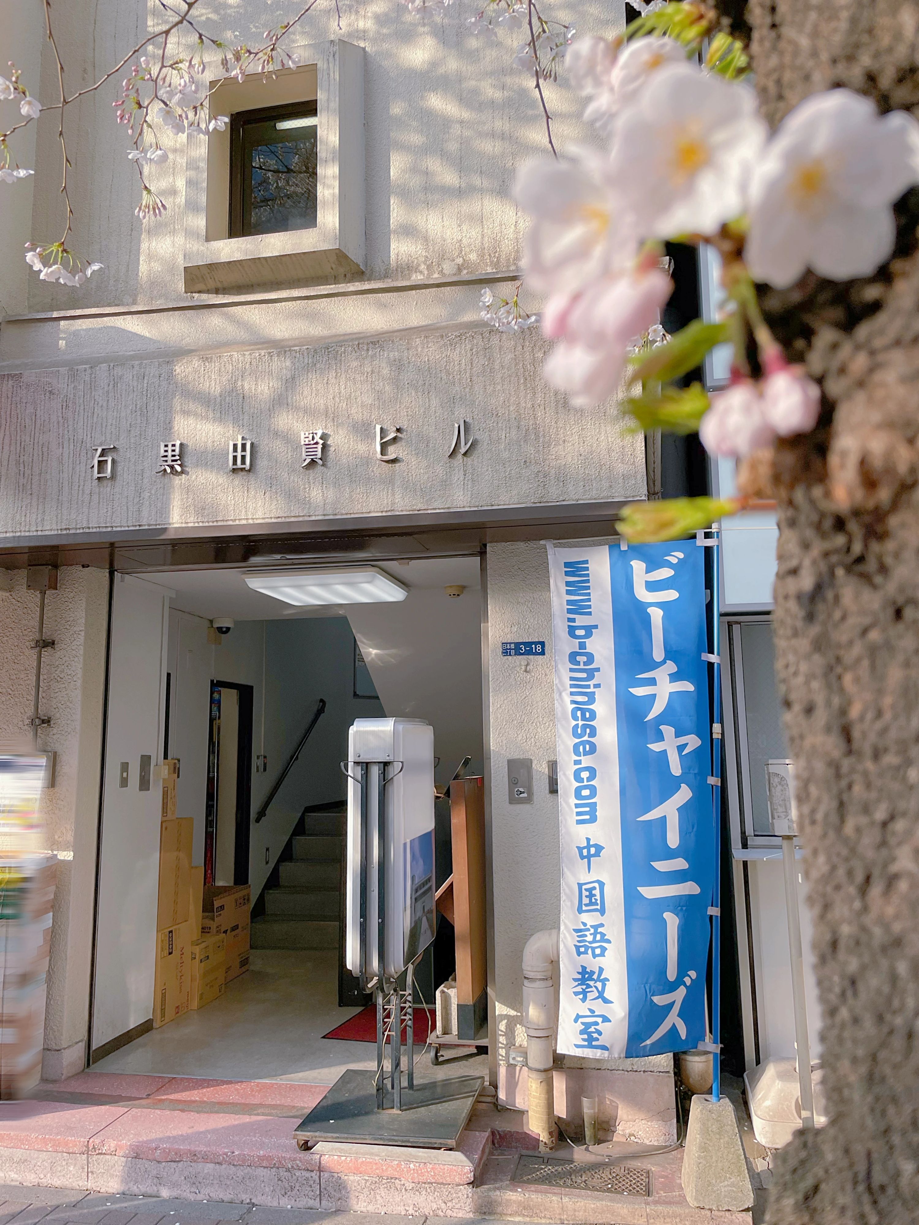 B-Chinese(ビーチャイニーズ) 東京八重洲校のメイン画像