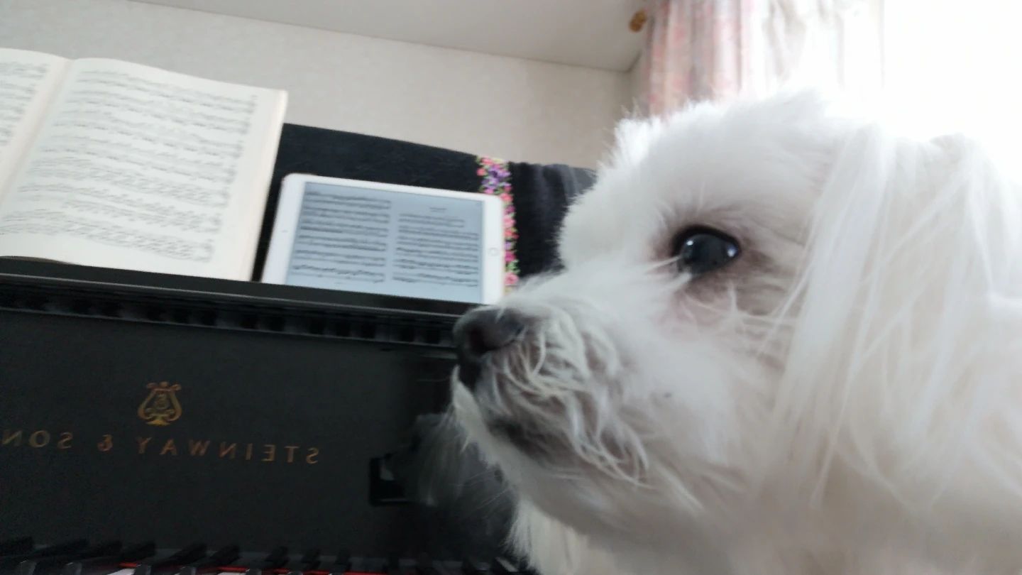 Chisato Sasaki ピアノ教室 東3条南教室のメイン画像